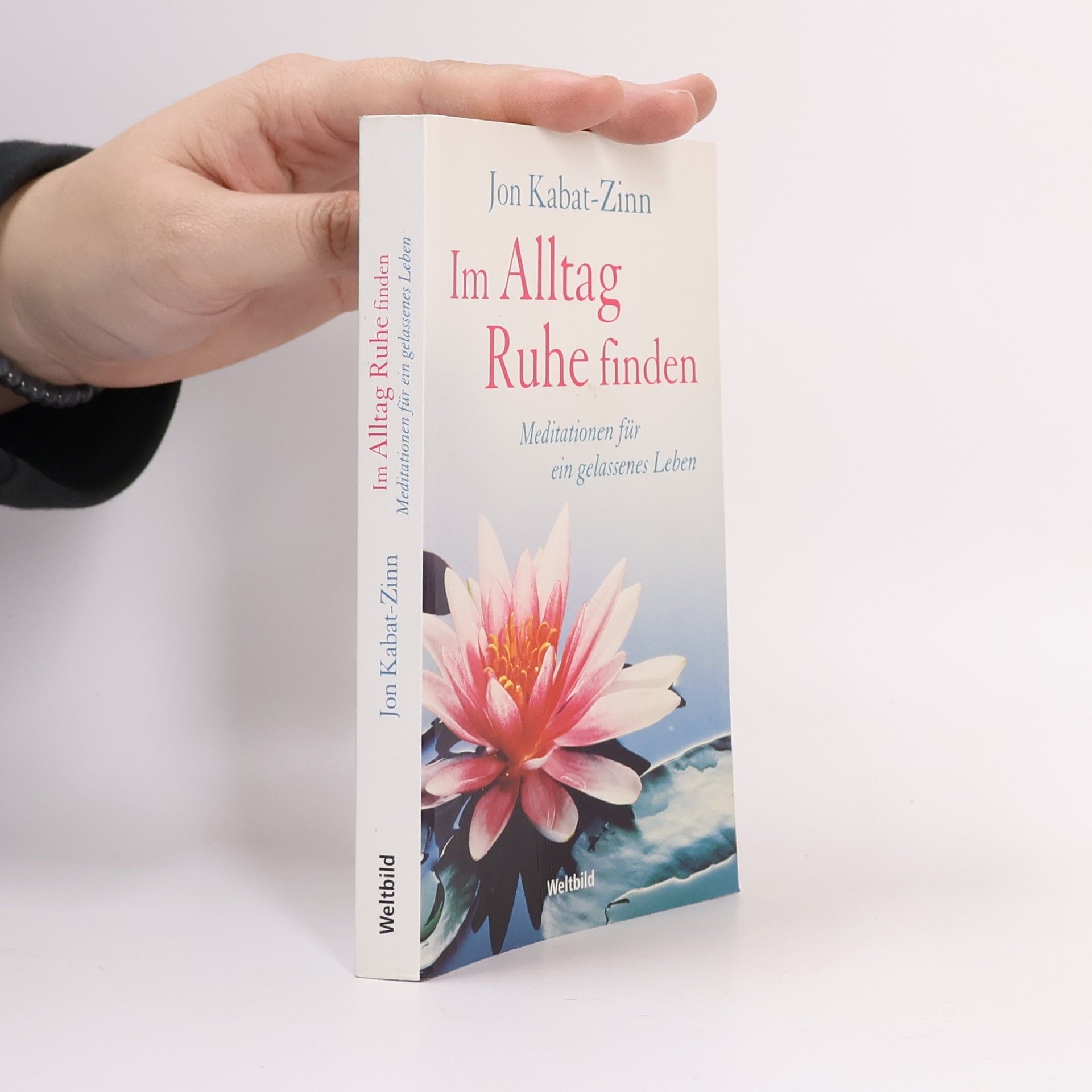 Jon Kabat Zinn Im Alltag Ruhe finden