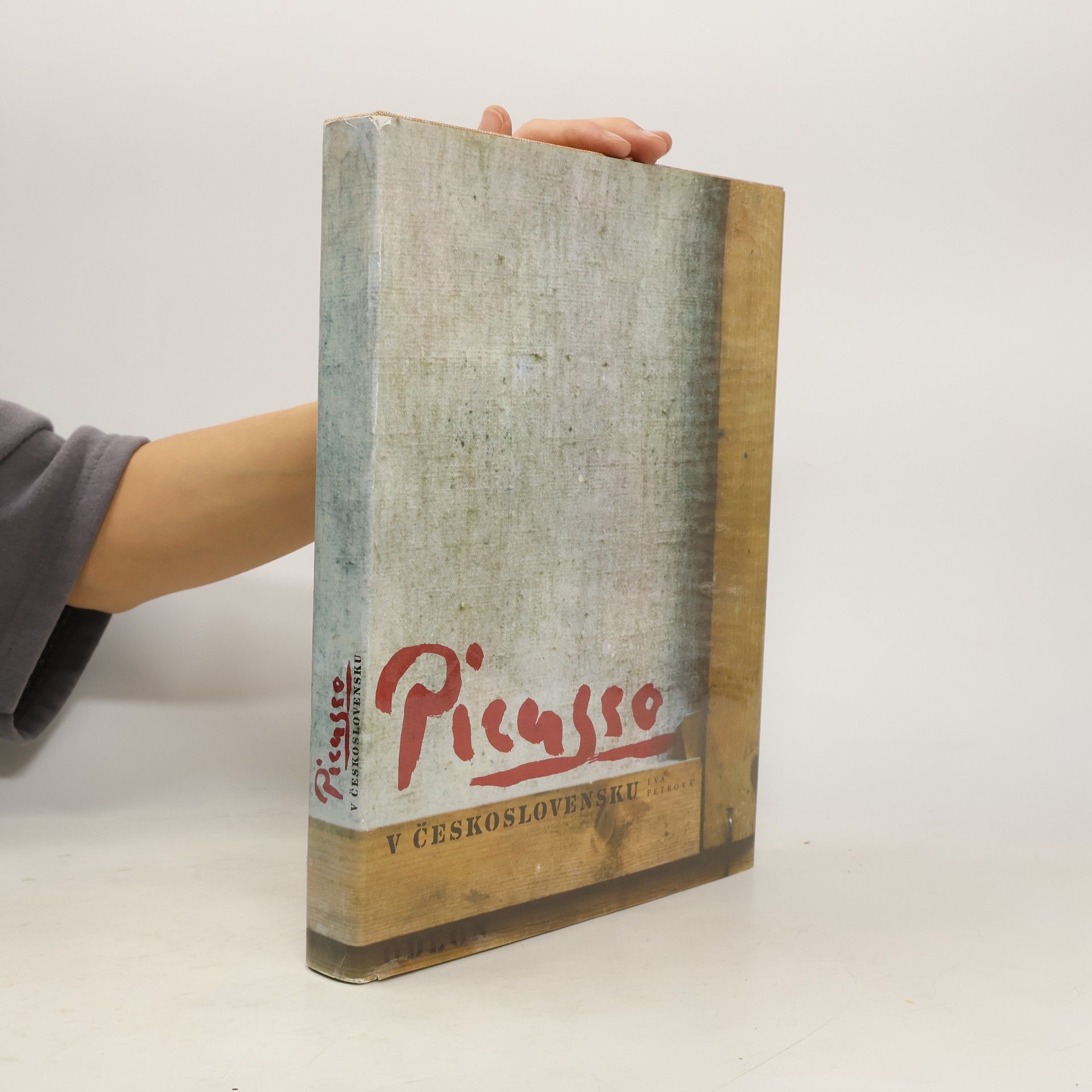 Eva Petrová Picasso v Československu
