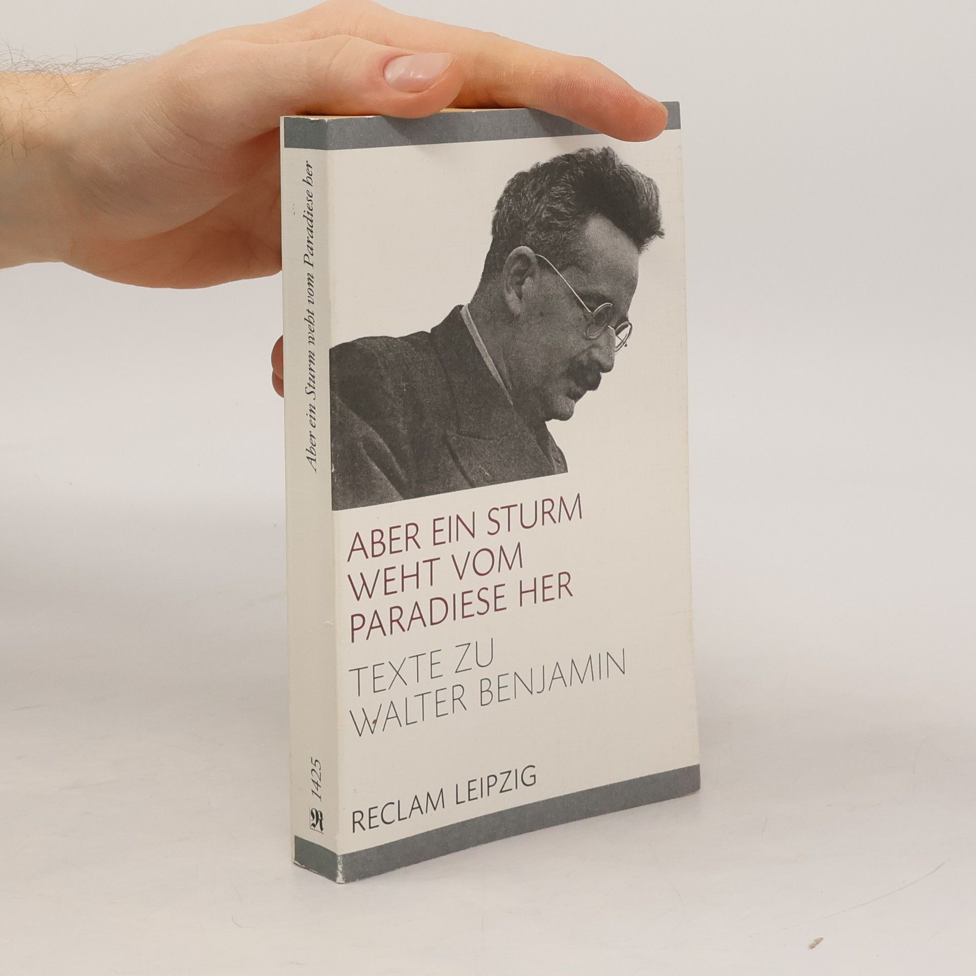 Michael Opitz Aber ein Sturm weht vom Paradiese her