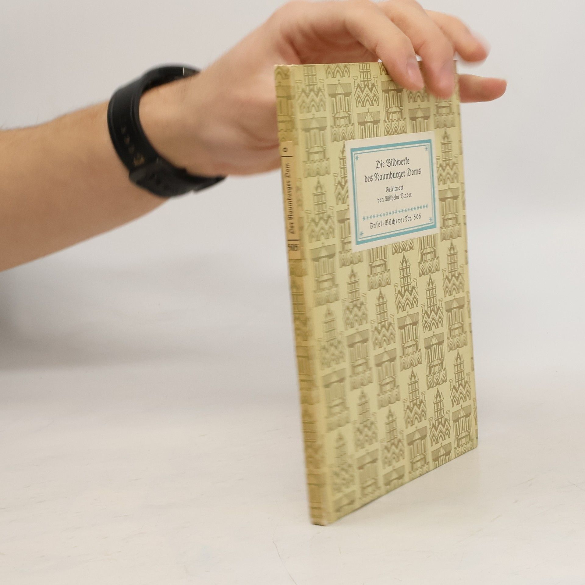 Die Bildwerke des Naumburger Doms