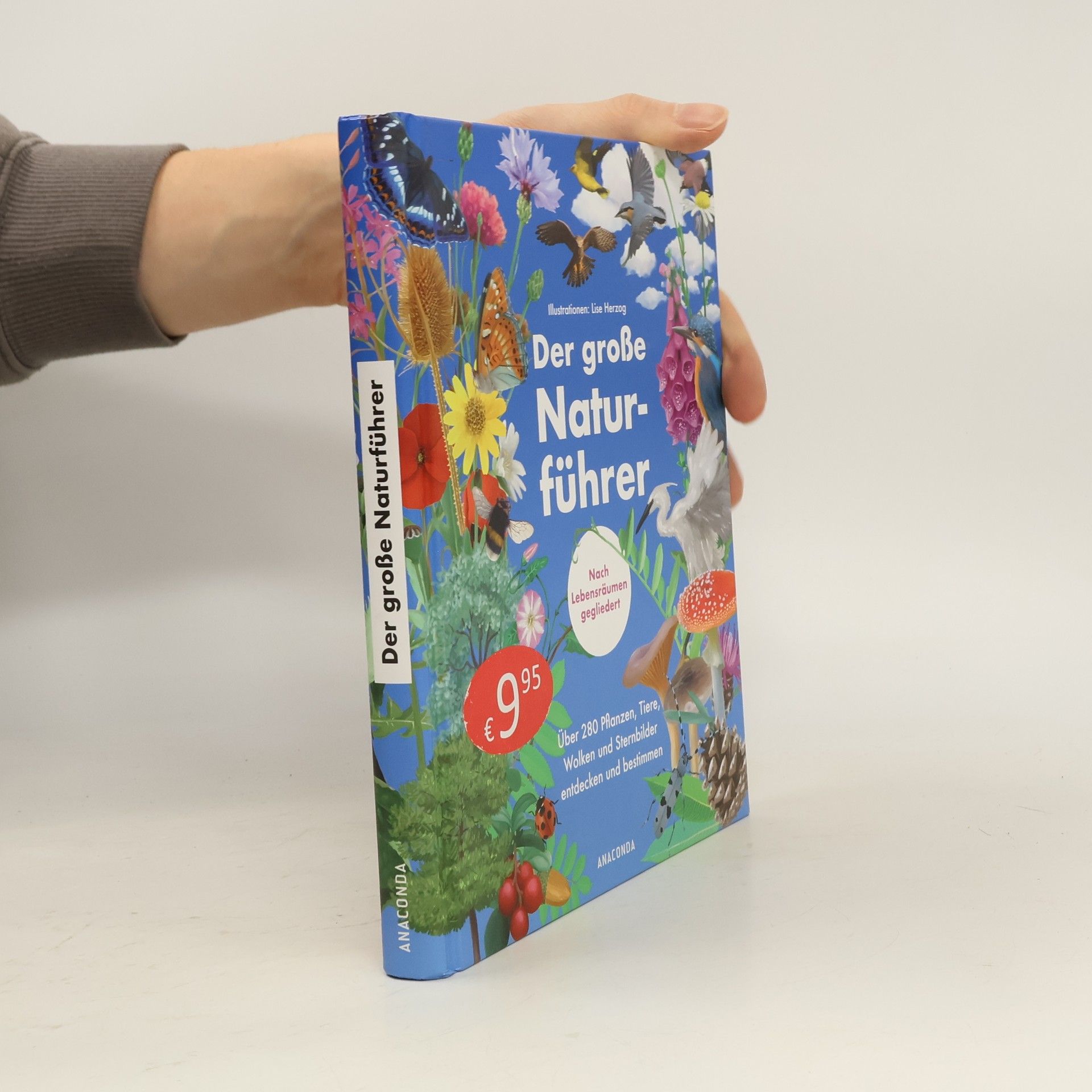 Der große Naturführer. Pflanzen, Tiere, Wolken und Sternbilder bestimmen. Nach Lebensräumen gegliedert.