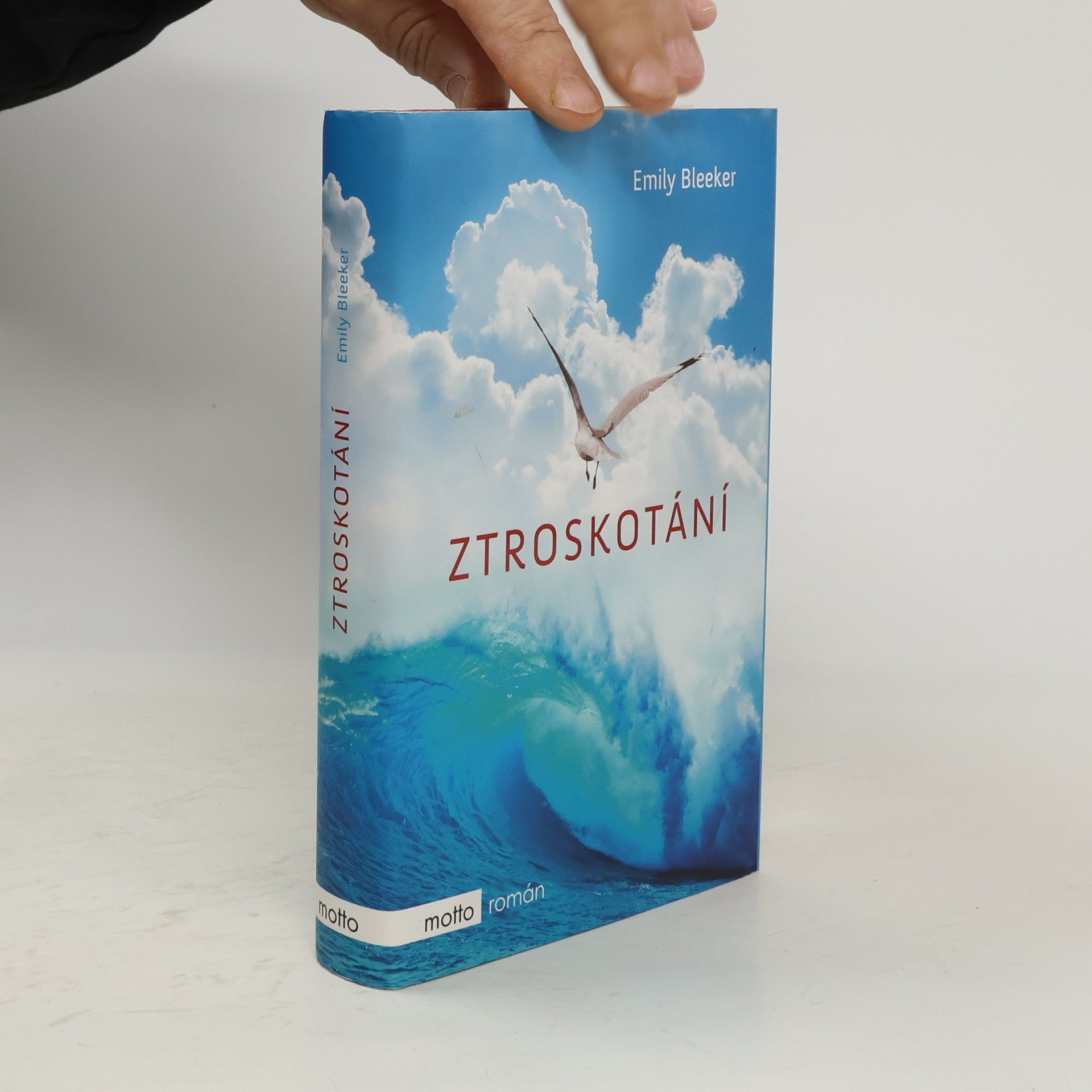 Emily Bleeker Ztroskotání