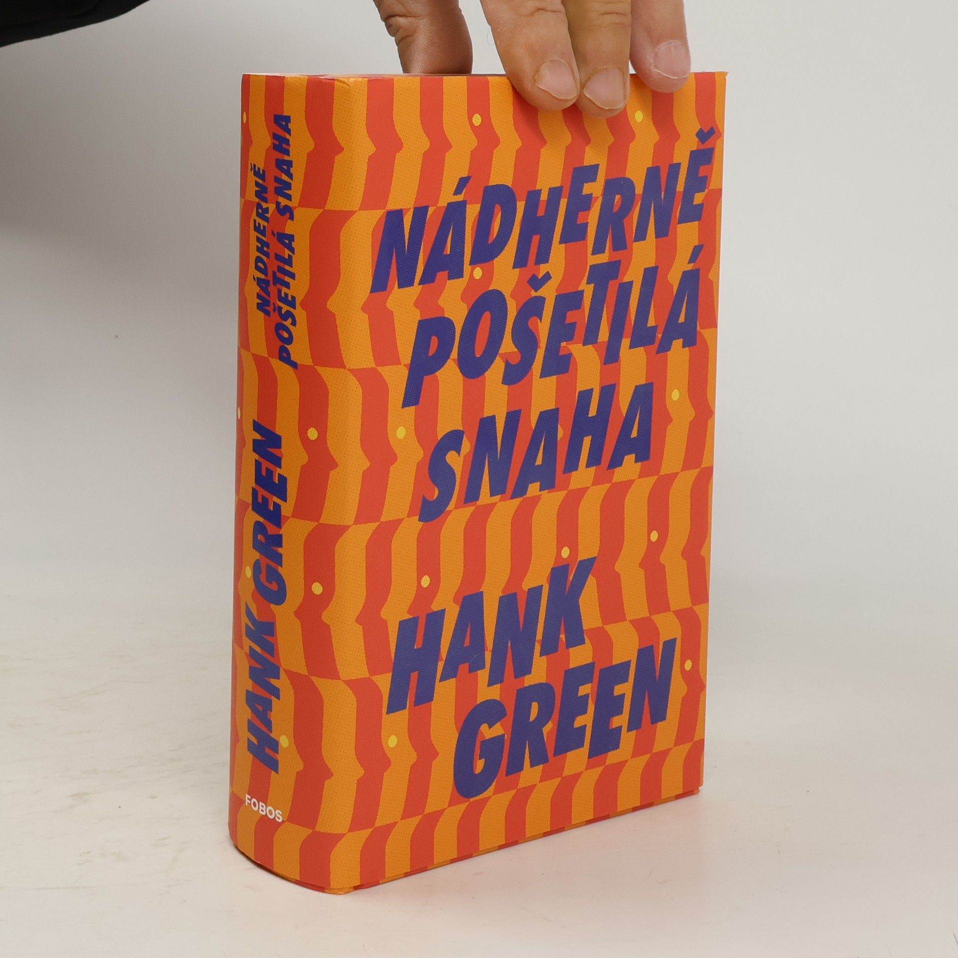 Hank Green Nádherně pošetilá snaha