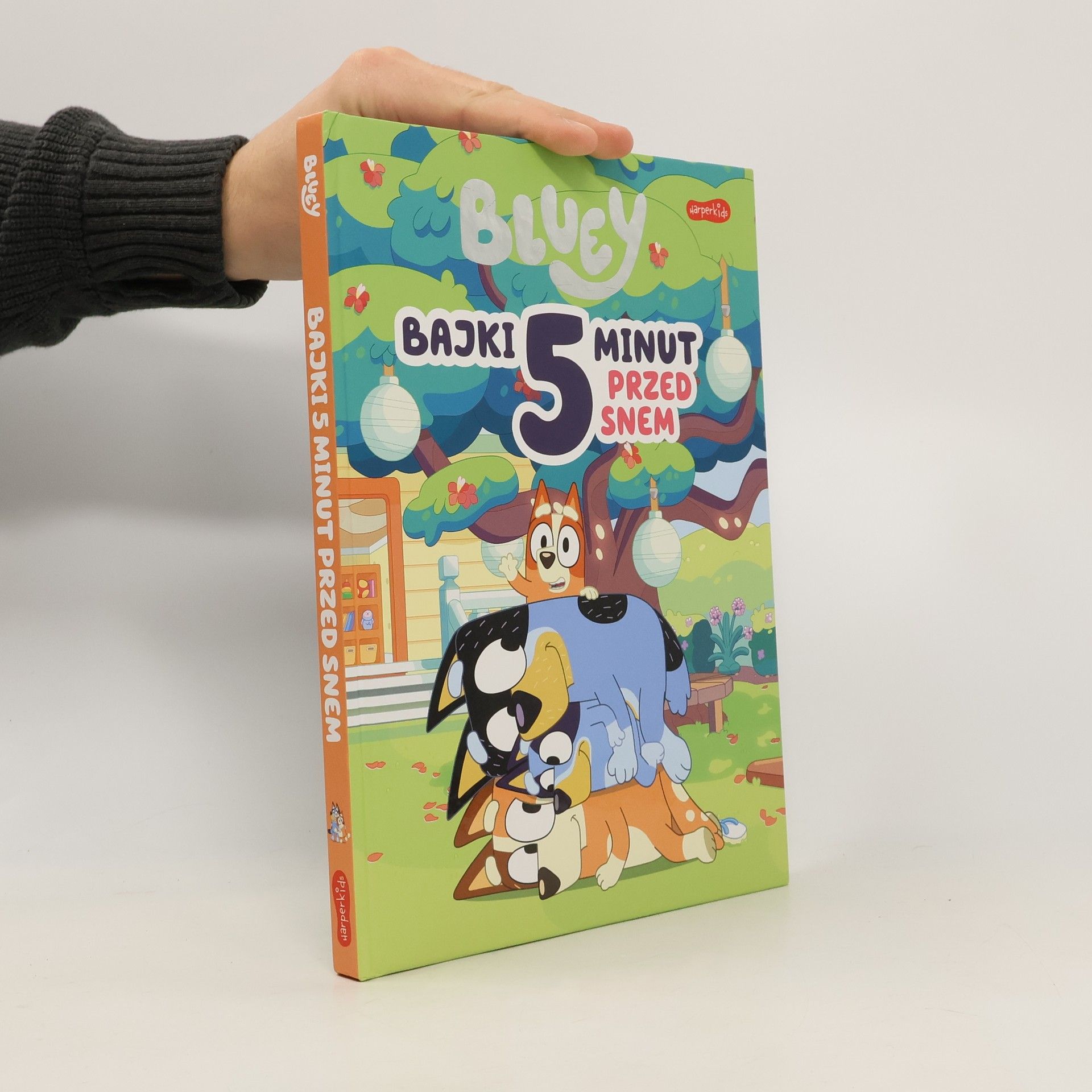 Autorenkollektiv Bluey