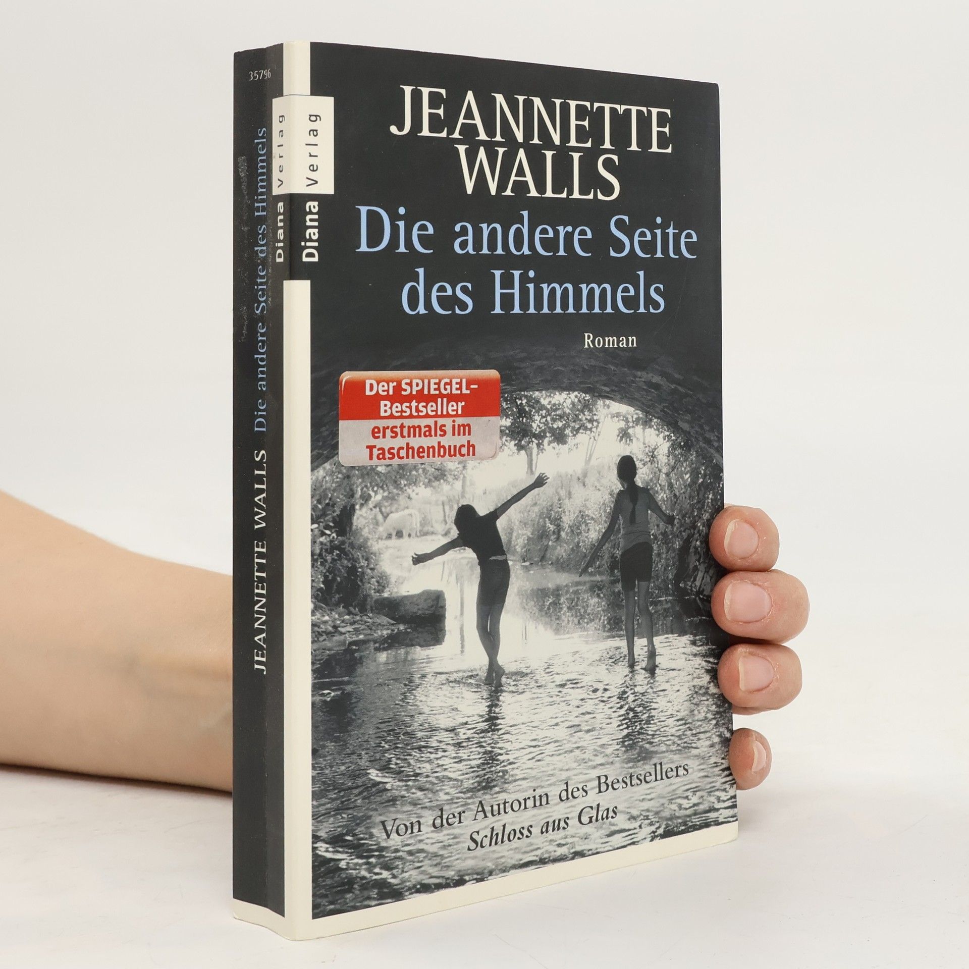 Jeannette Walls Die andere Seite des Himmels
