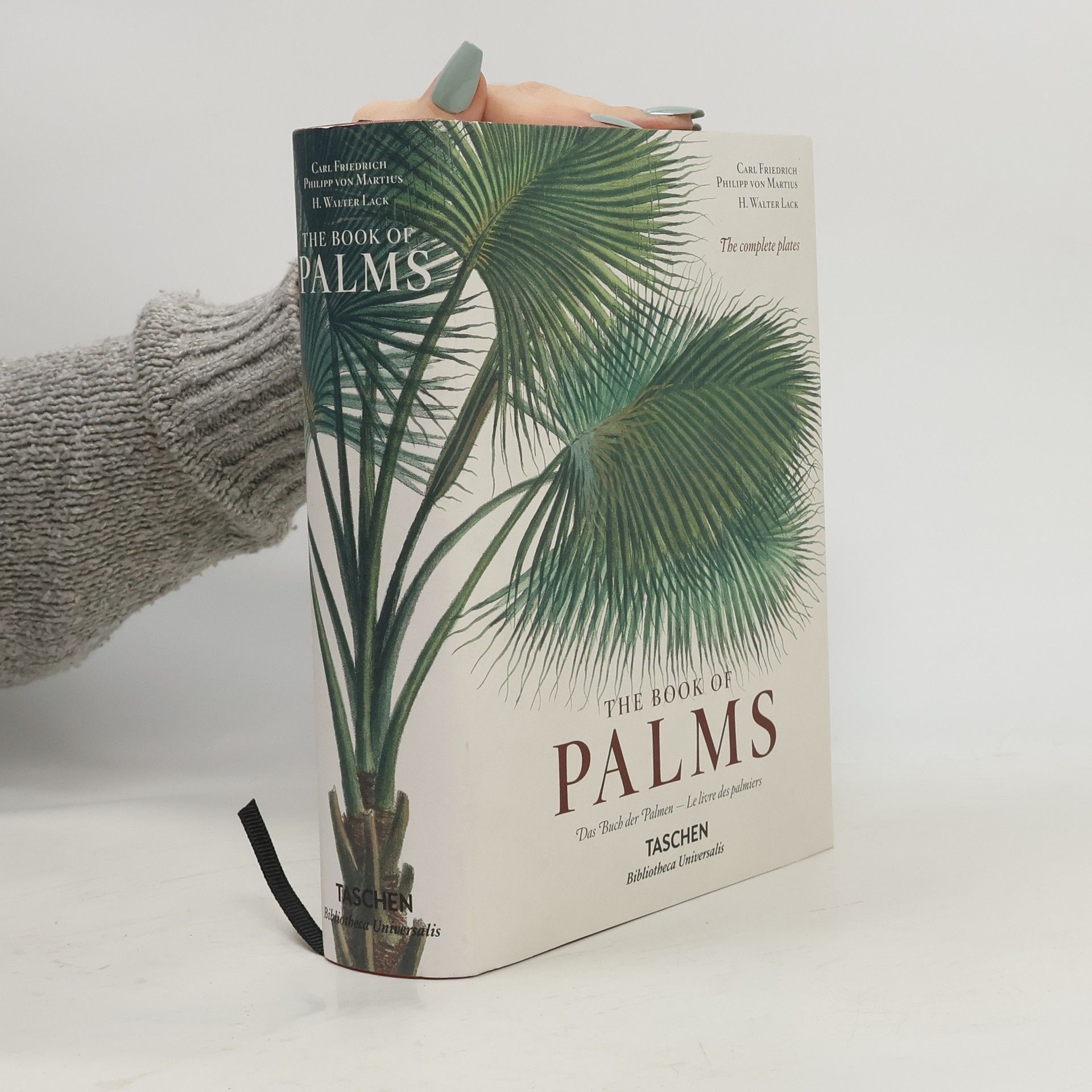 Collectif d'auteurs The book of palms - Das Buch der Palmen - Le livre des palmiers