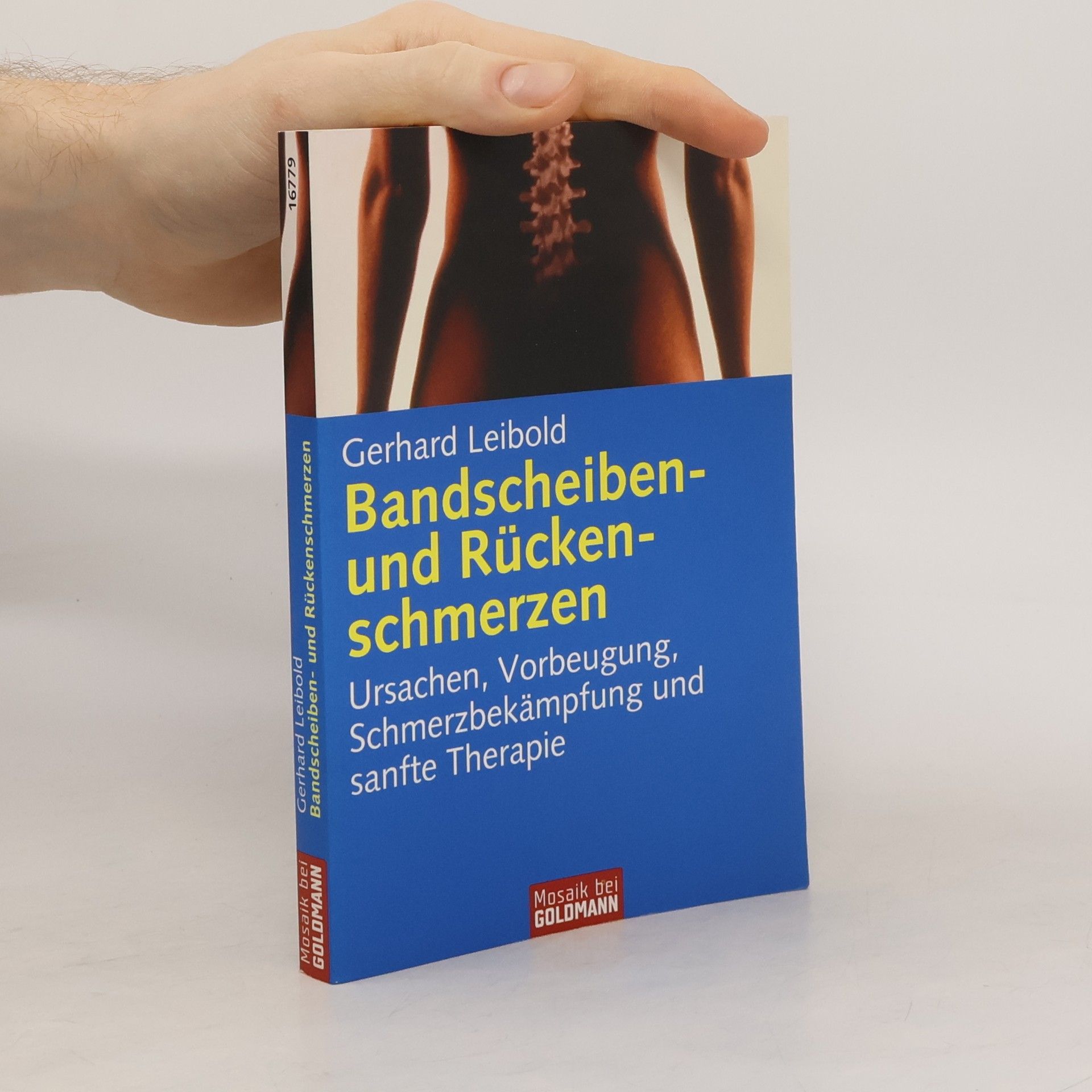 Gerhard Leibold Bandscheiben- und Rückenschmerzen