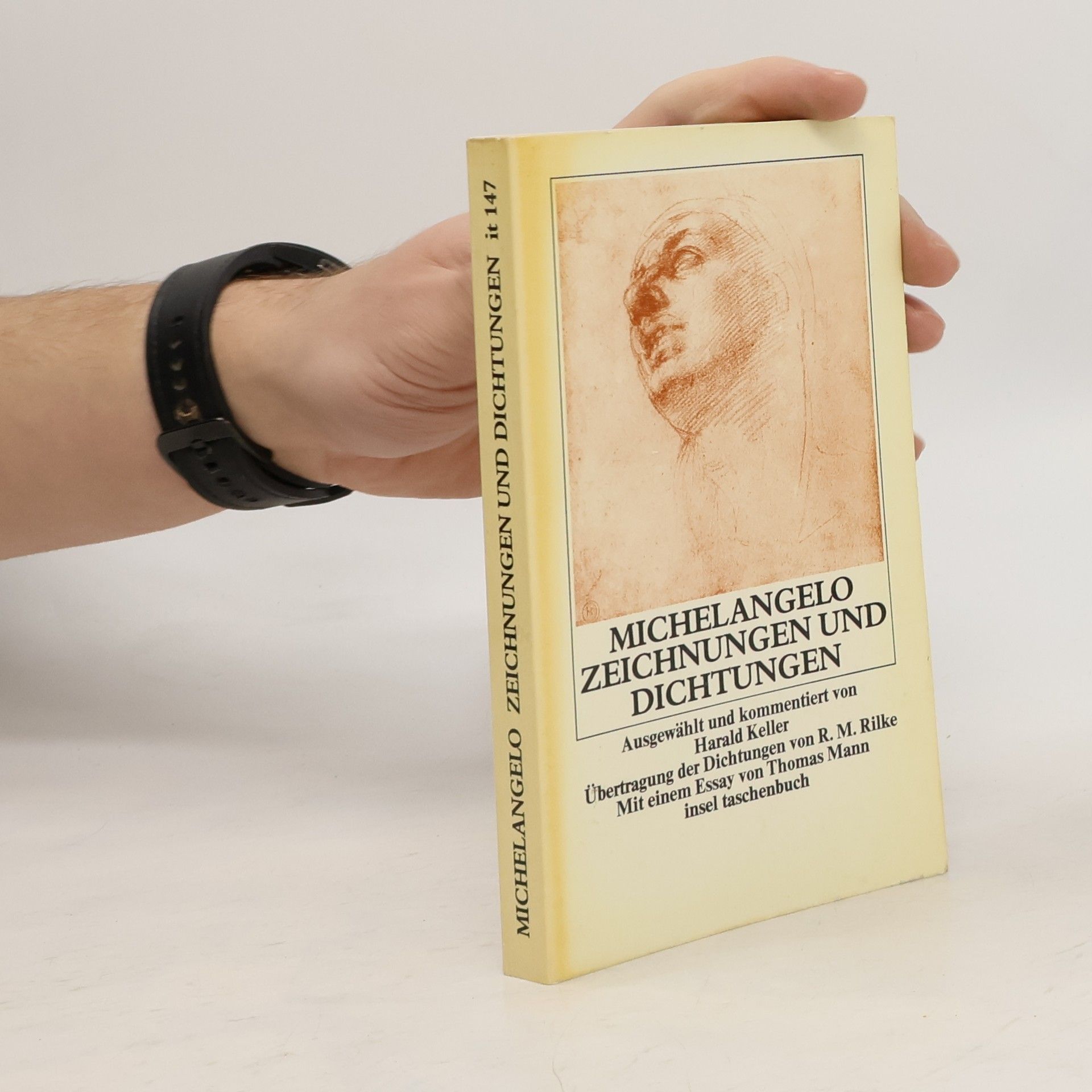 Michelangelo Zeichnungen und Dichtungen