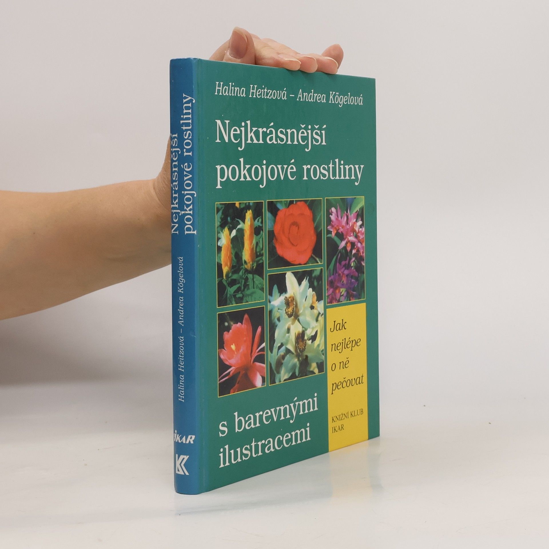 Nejkrásnější pokojové rostliny