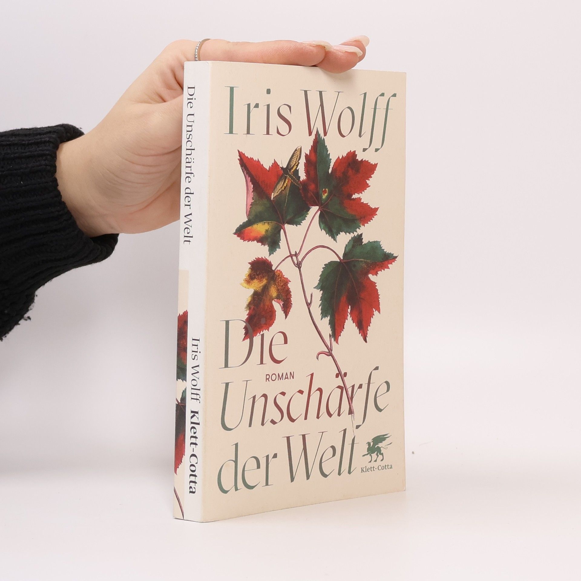 Iris Wolff Die Unschärfe der Welt