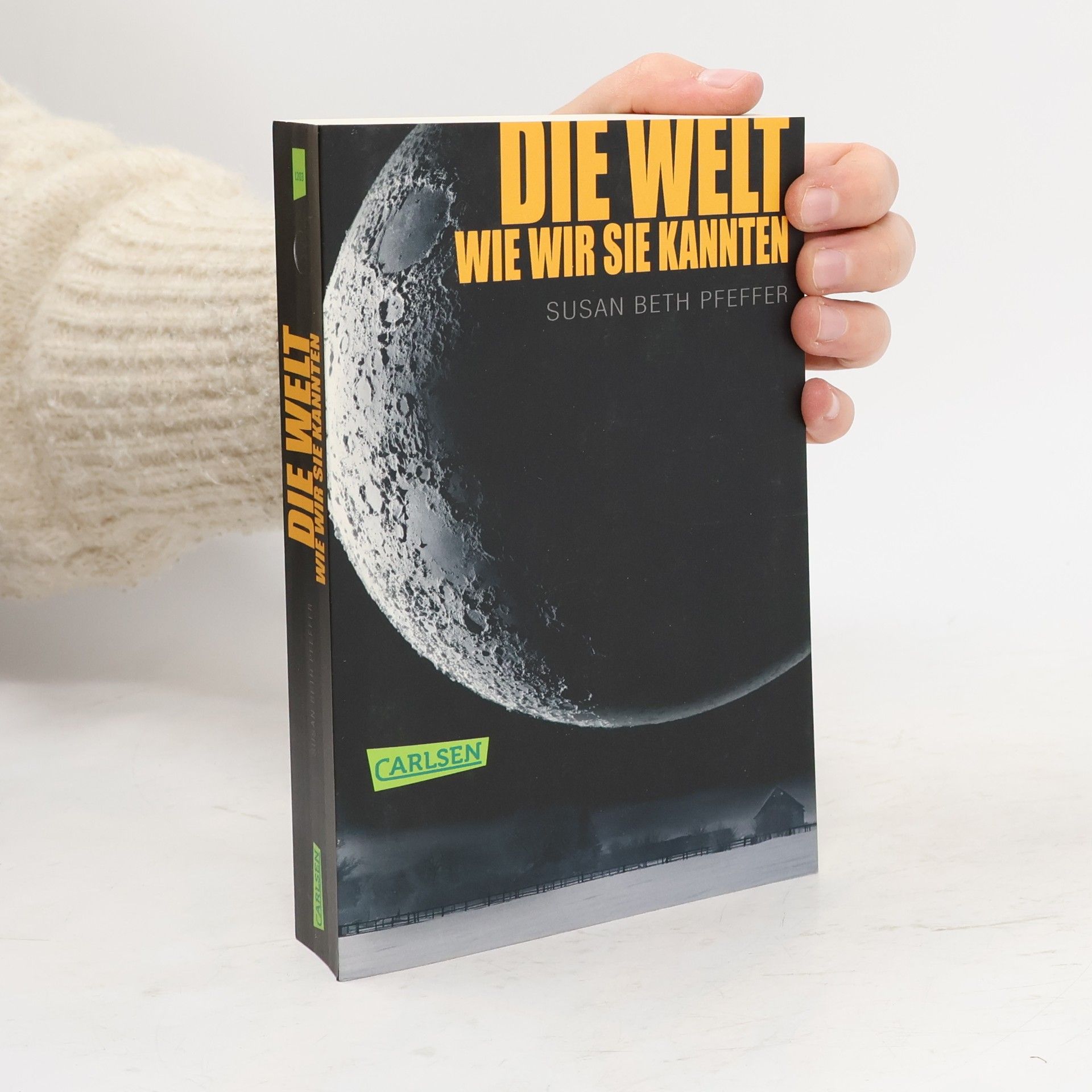 Susan Beth Pfeffer Die Welt, wie wir sie kannten