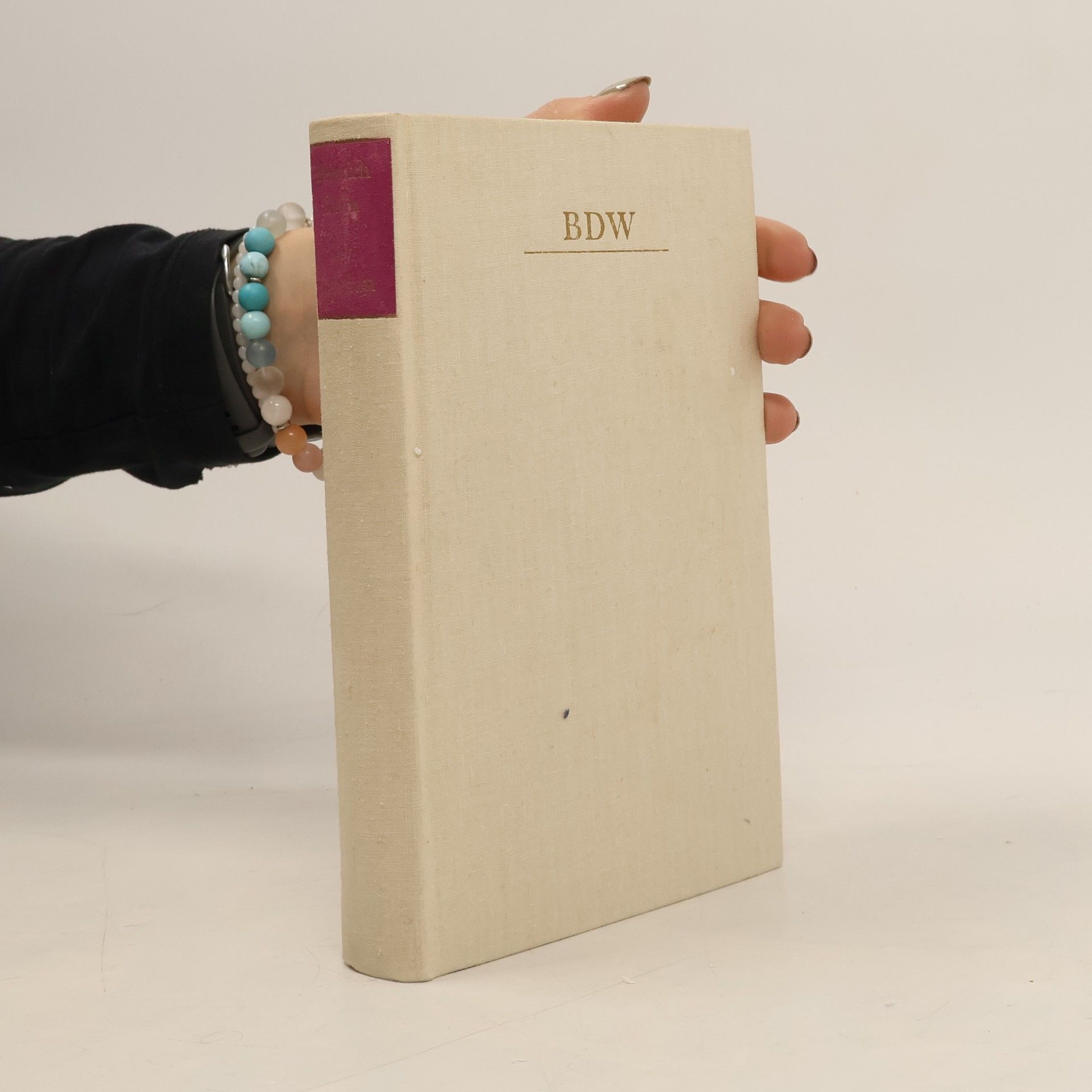 Heinrich Mann Der Untertan