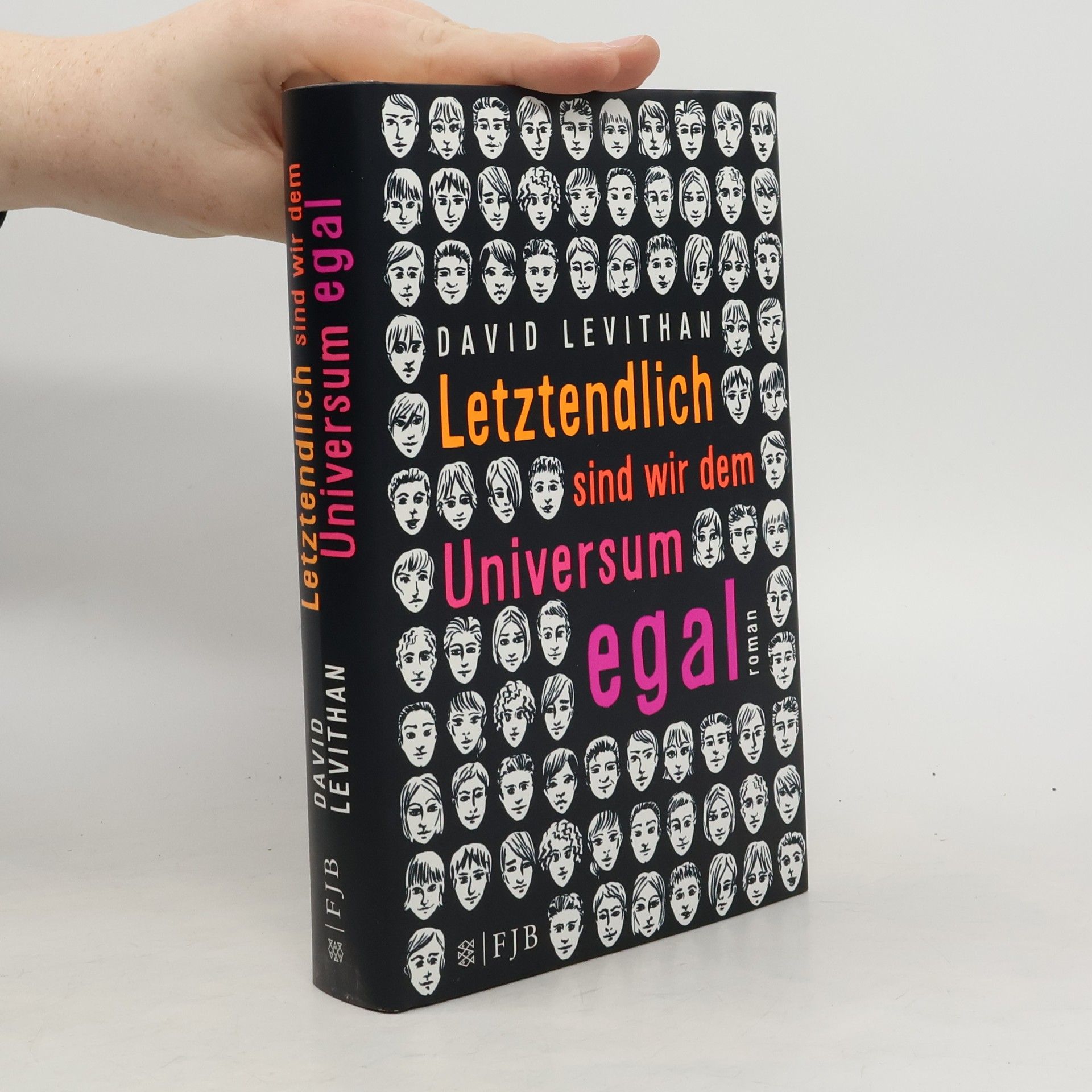 David Levithan Letztendlich sind wir dem Universum egal