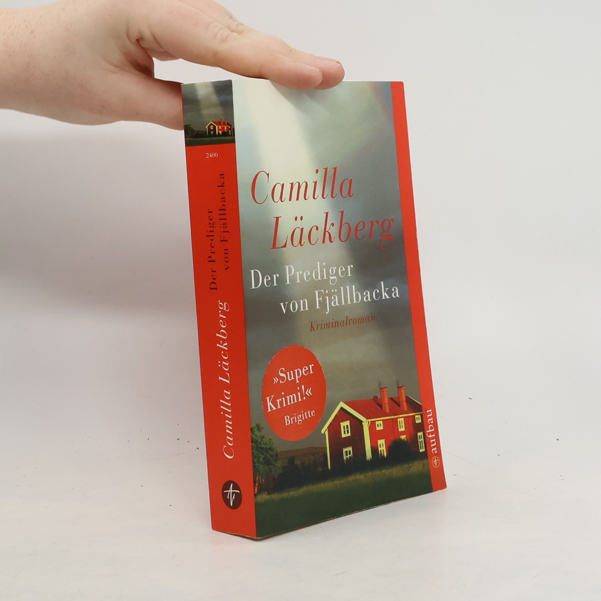 Der Prediger von Fjällbacka