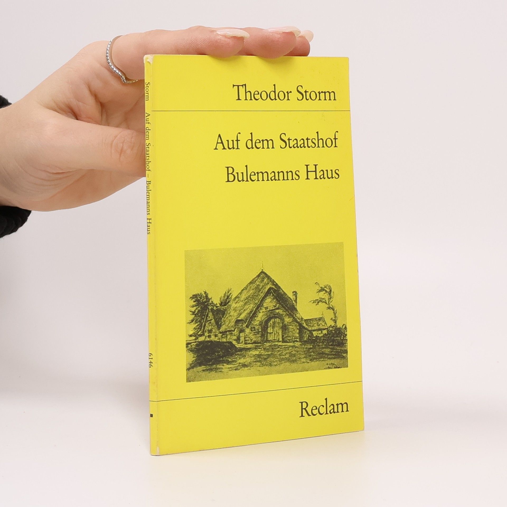 Theodor Storm Auf dem Staatshof. Bulemanns Haus