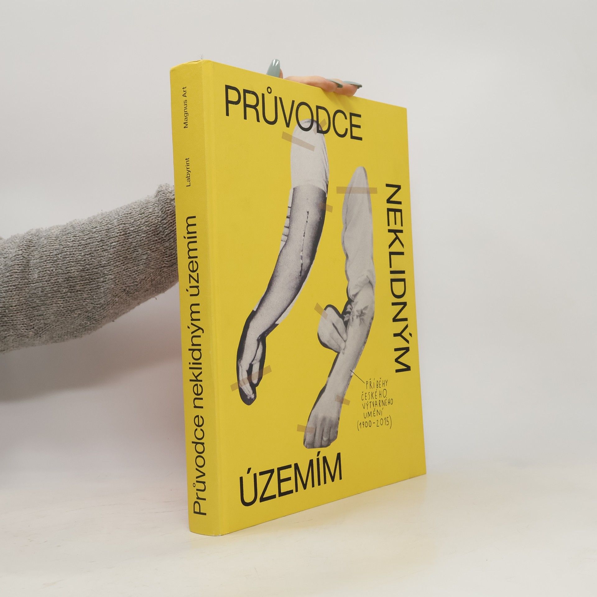 Průvodce neklidným územím. Příběhy českého výtvarného umění (1900-2015)