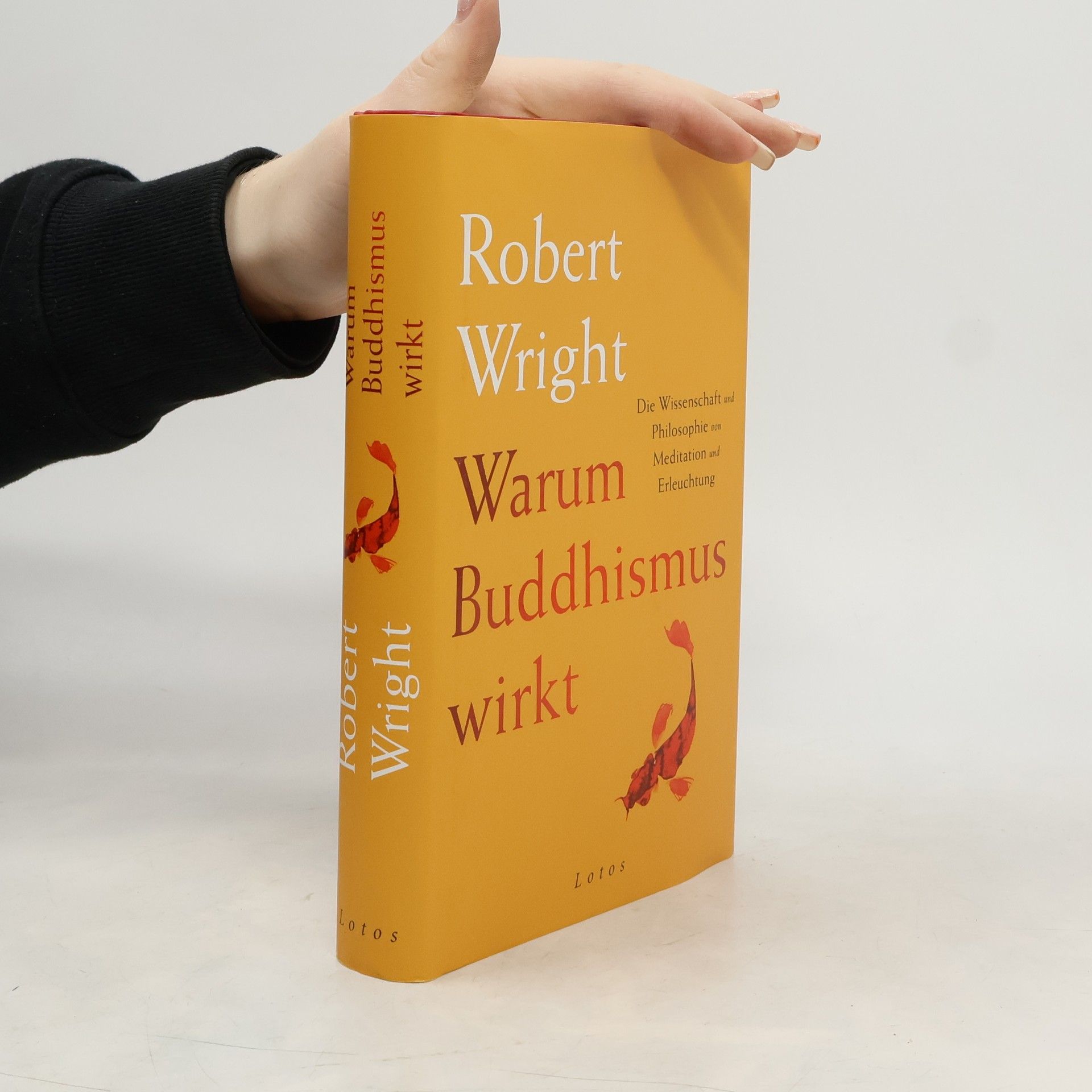 Robert Wright Warum Buddhismus wirkt