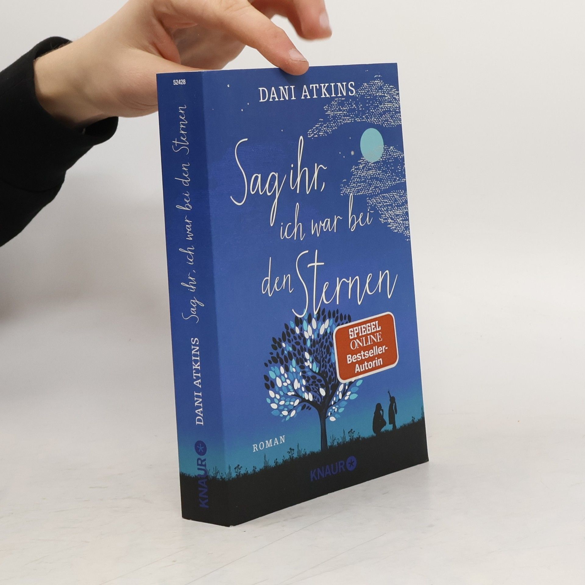 Dani Atkins Sag ihr, ich war bei den Sternen