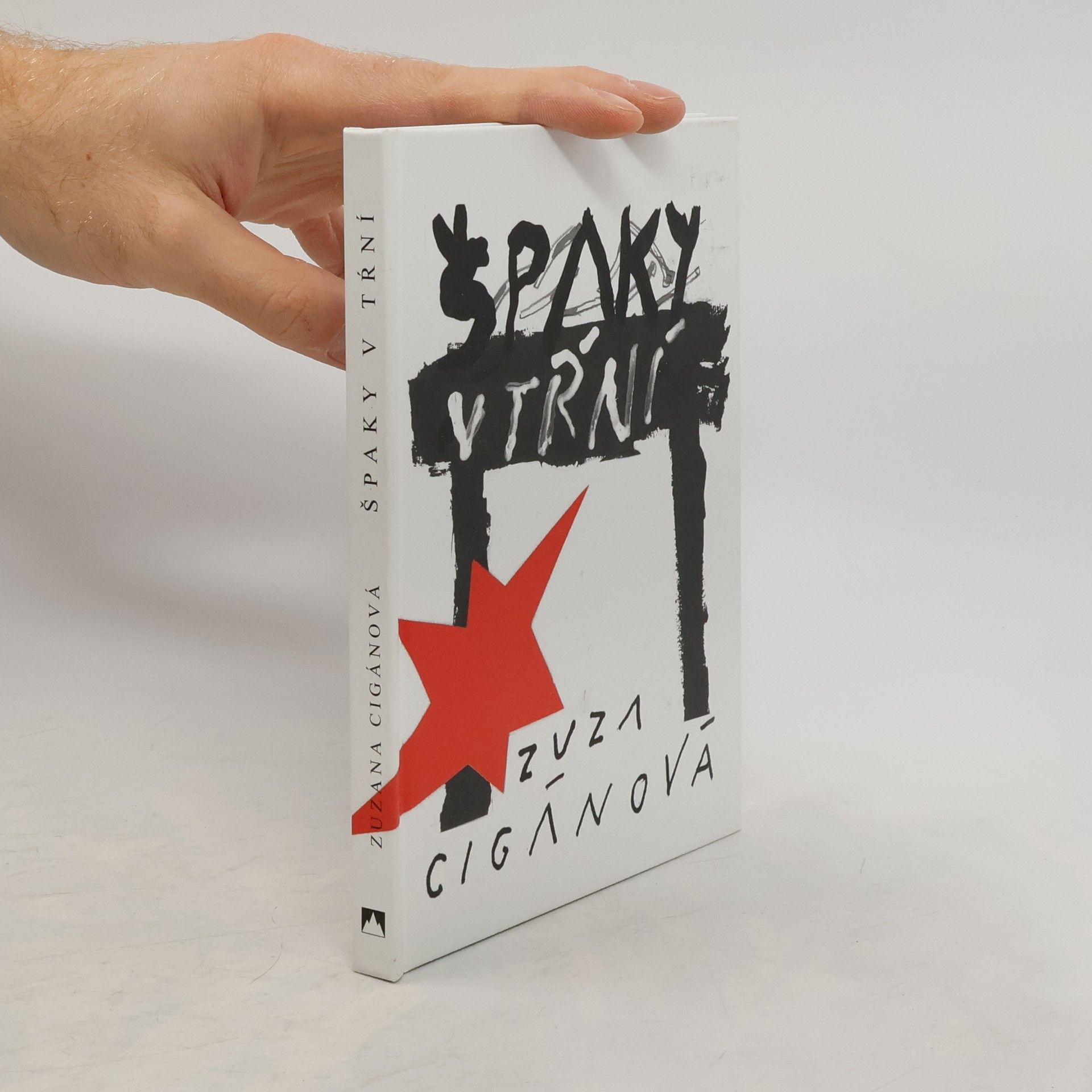 Zuzana Cigánová Špaky v tŕní