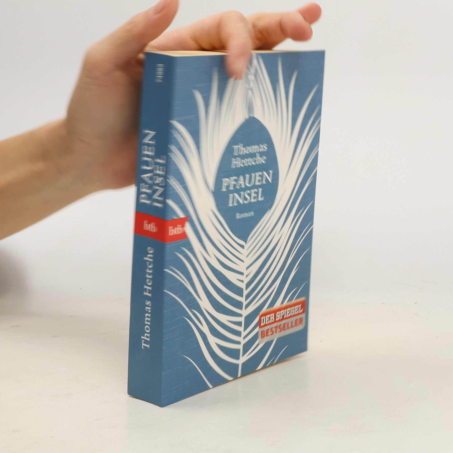 Thomas Hettche Pfaueninsel