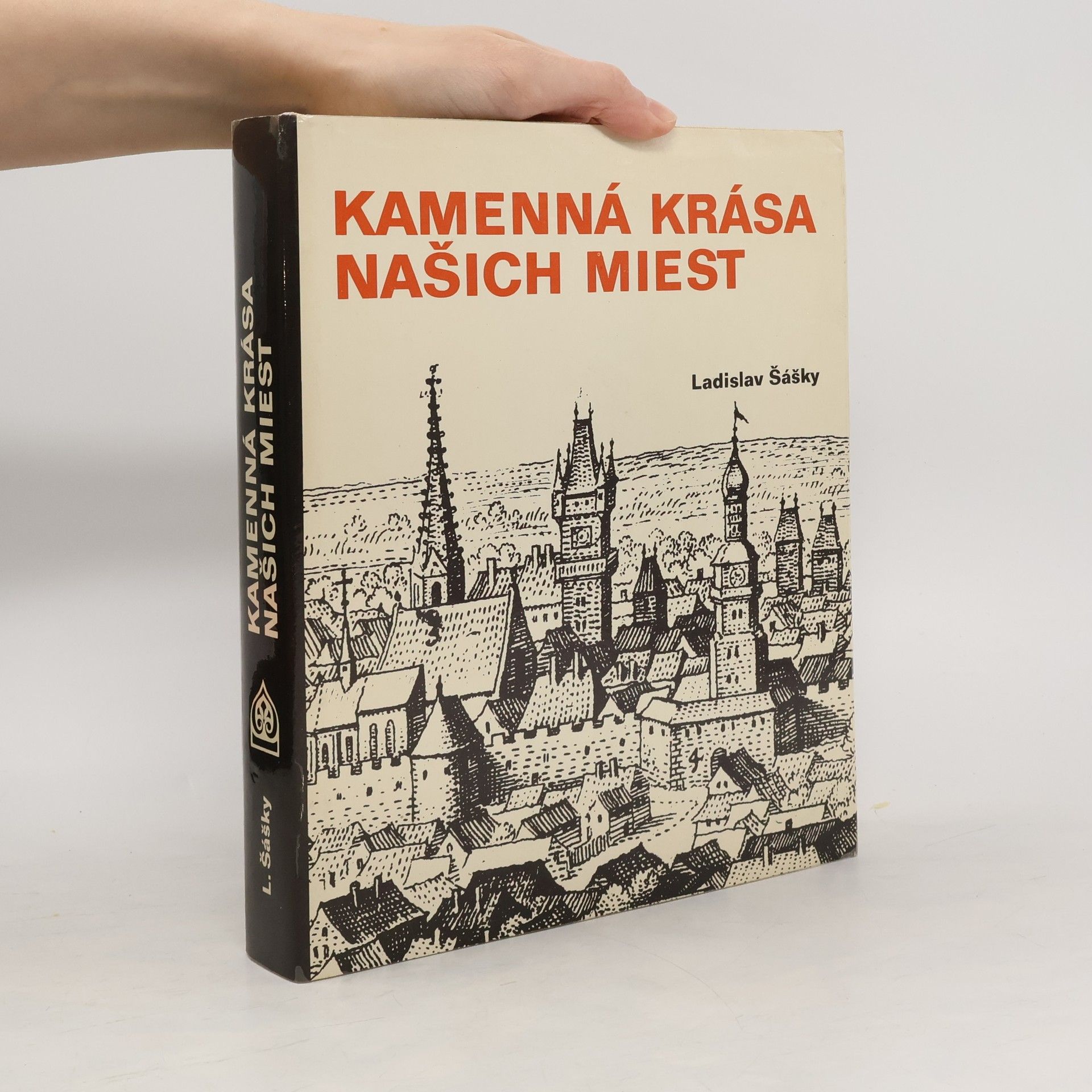Ladislav Šášky Kamenná krása našich miest