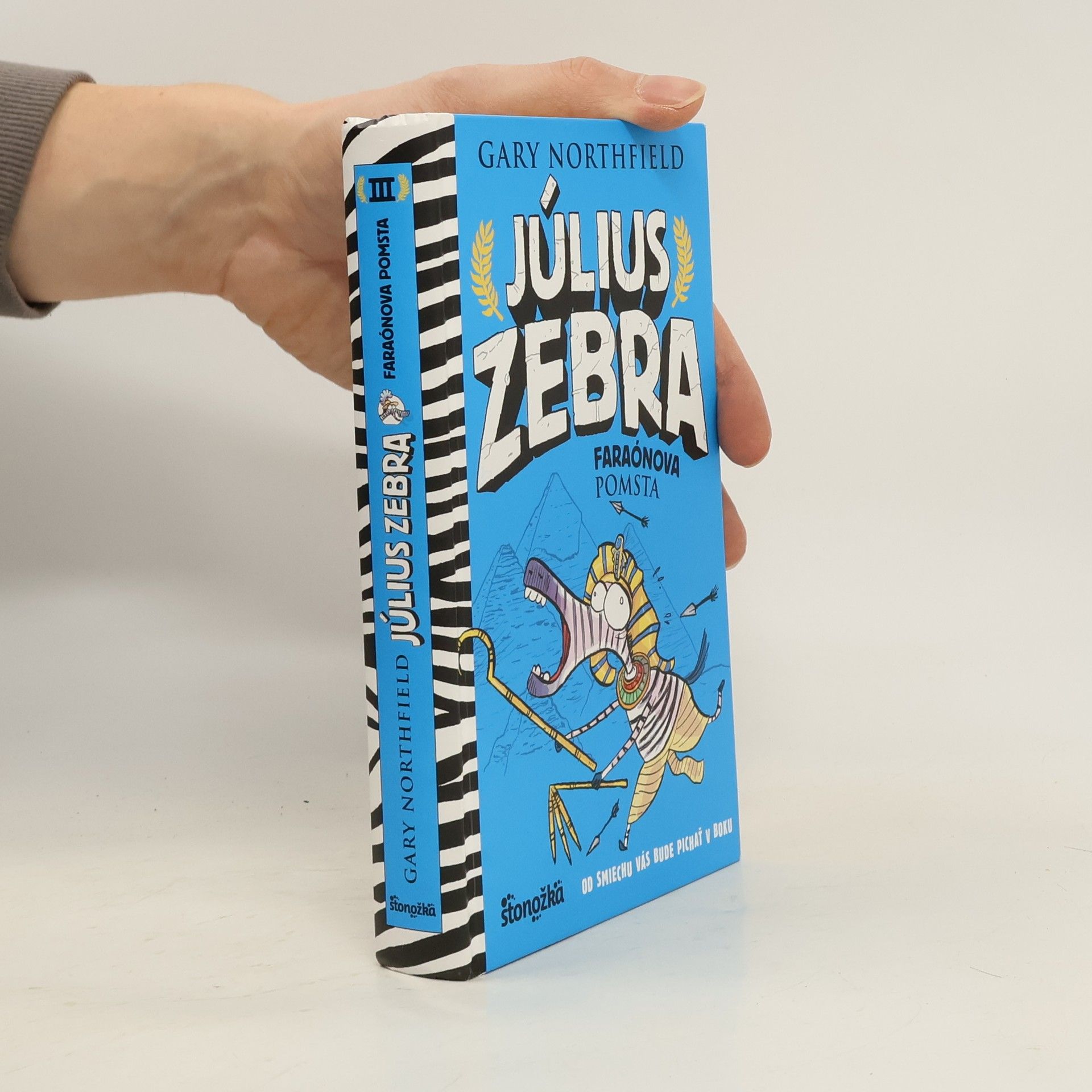 Northfield Gary Július Zebra