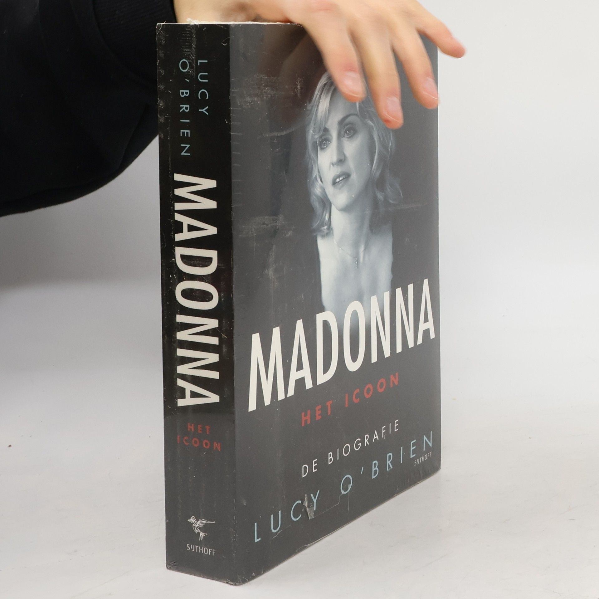 Lucy OBrien Madonna het icoon