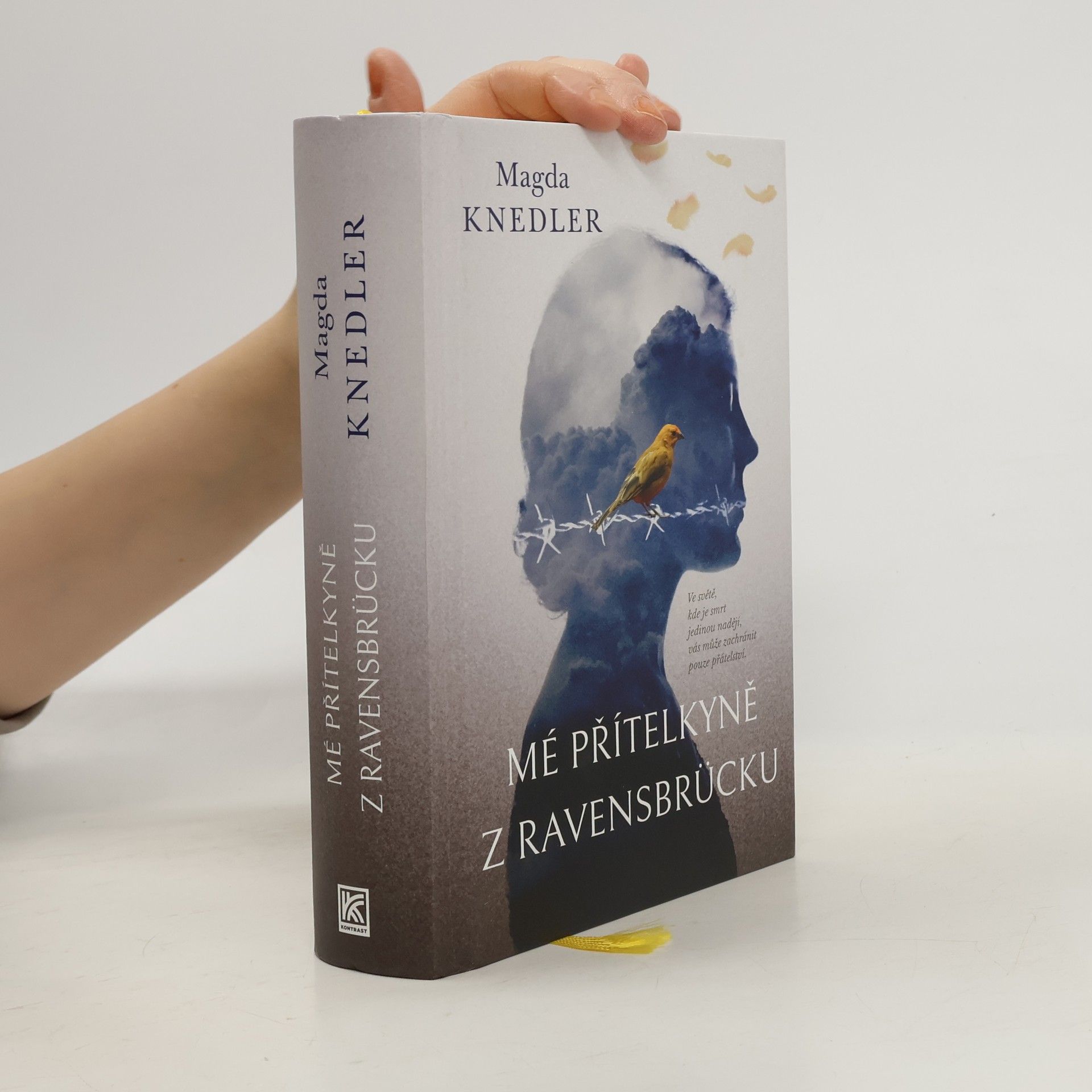 Magdalena Knedler Mé přítelkyně z Ravensbrücku