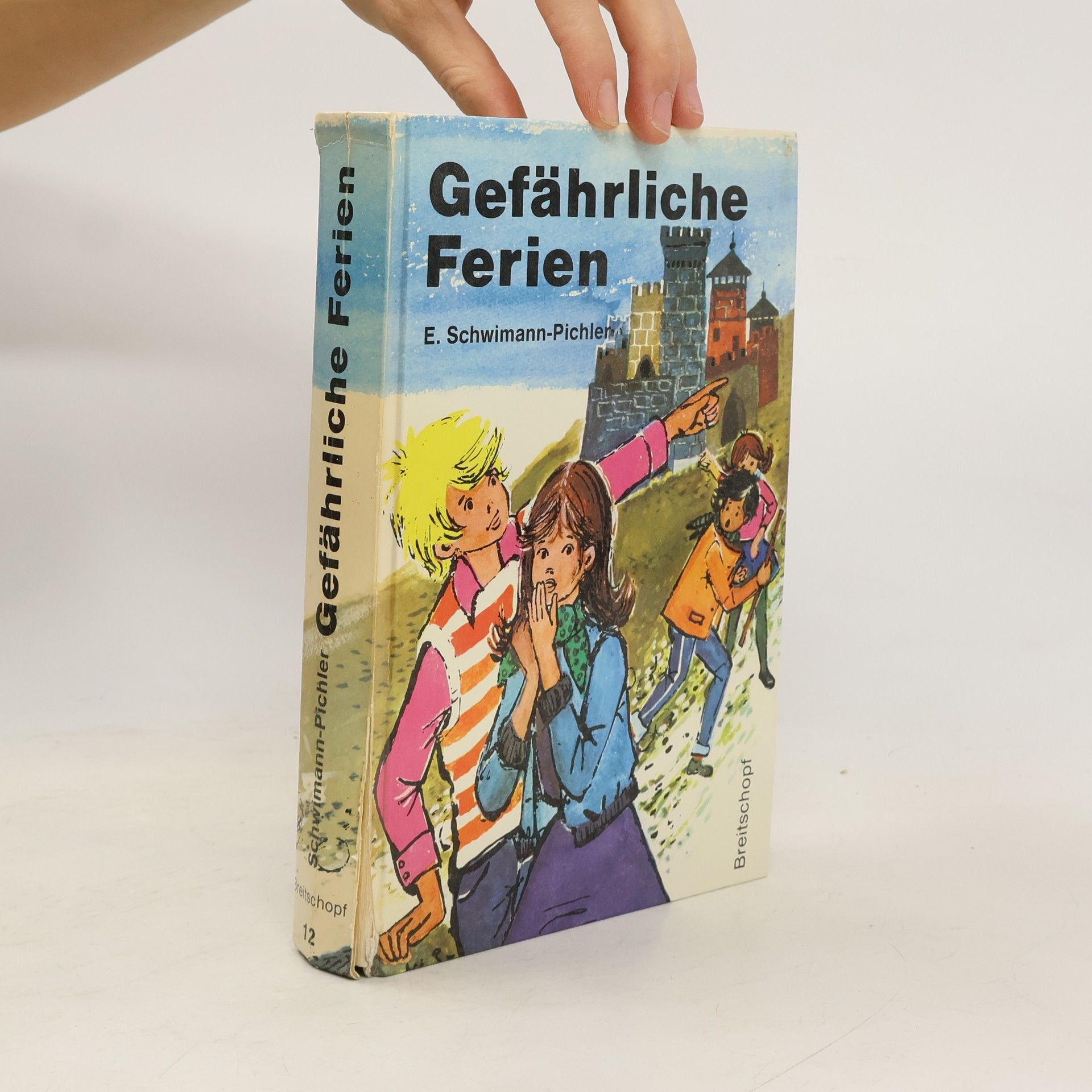 Ebba Schwimann-Pichler Gefährliche Ferien