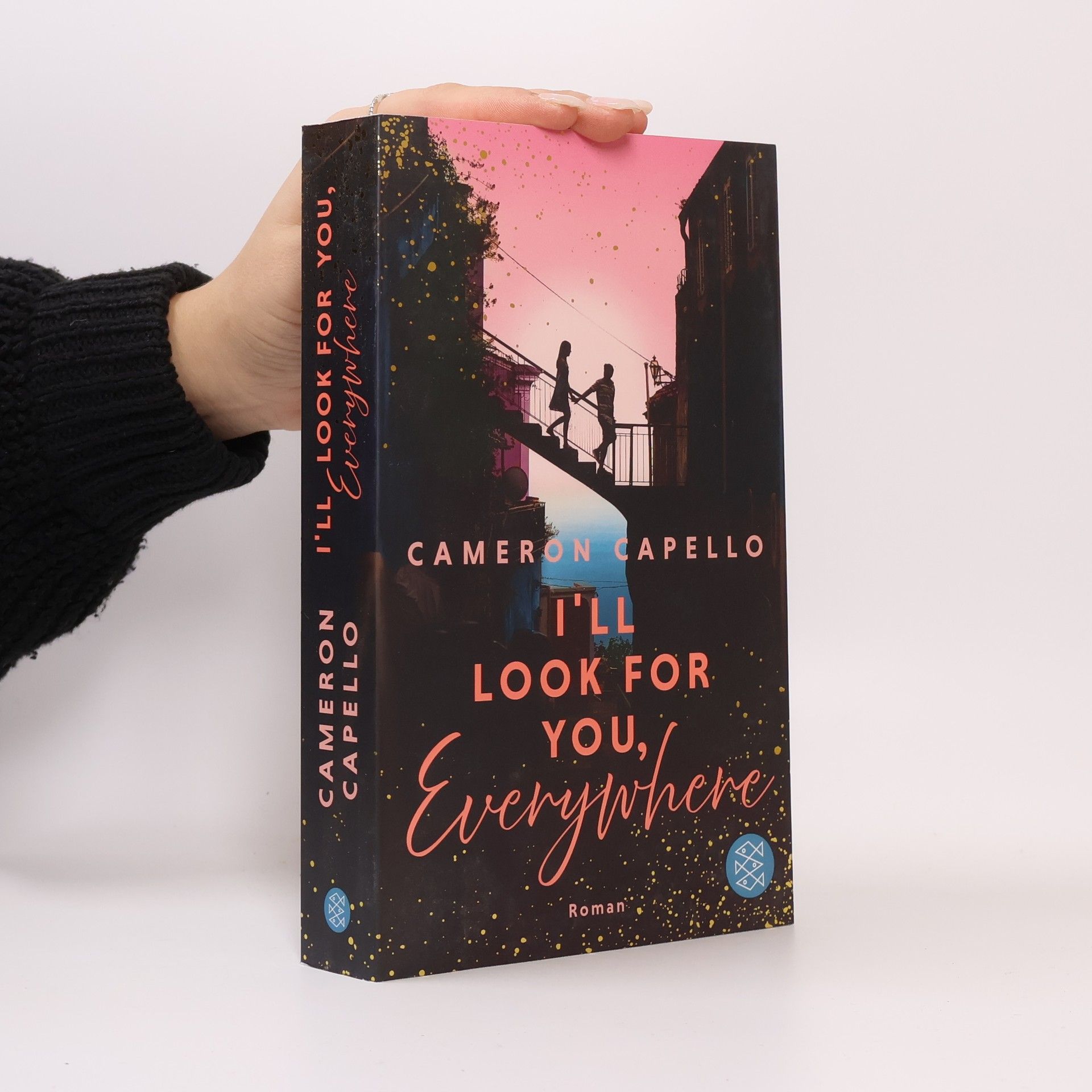 I'll look for you, Everywhere