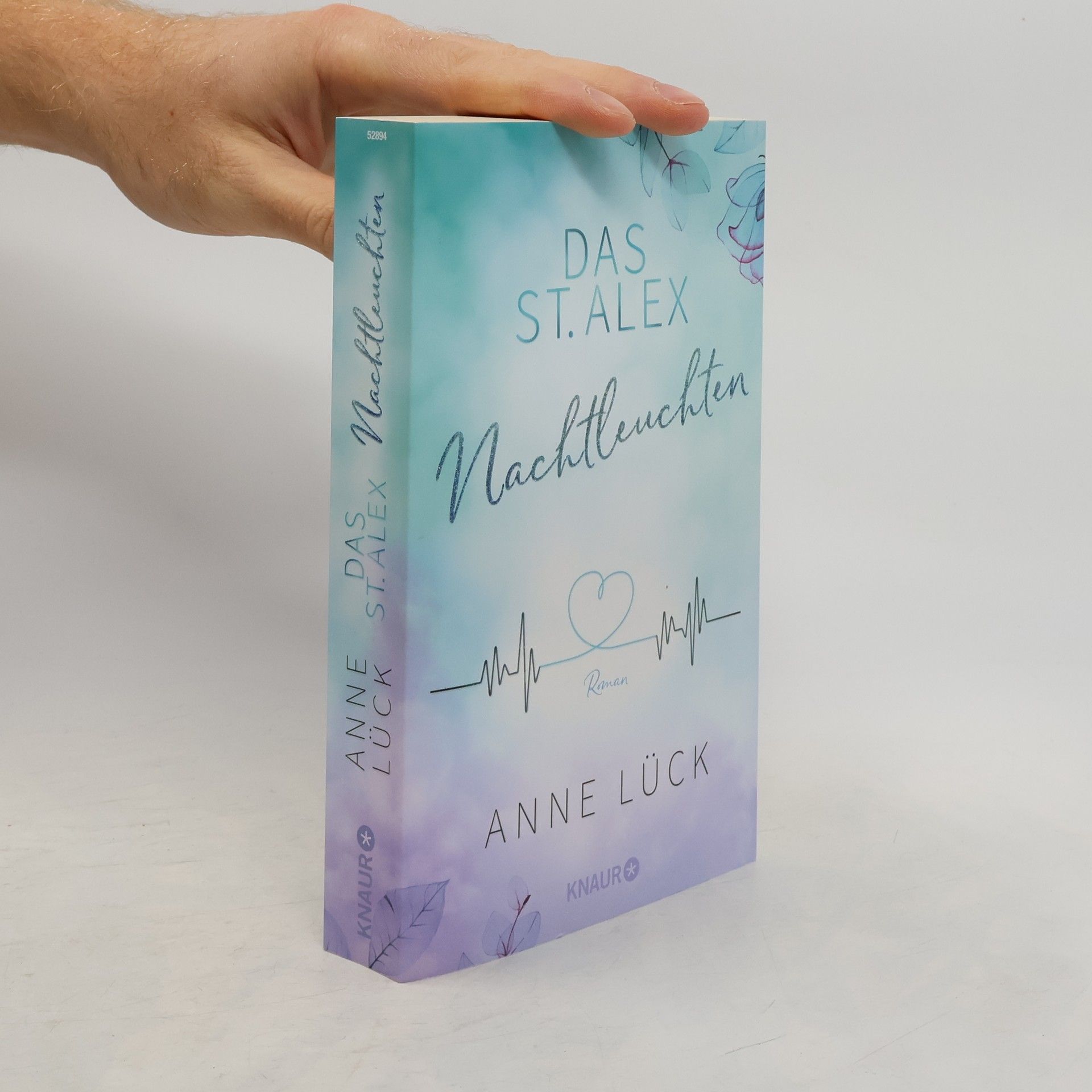 Anne Lück Das St. Alex - Nachtleuchten