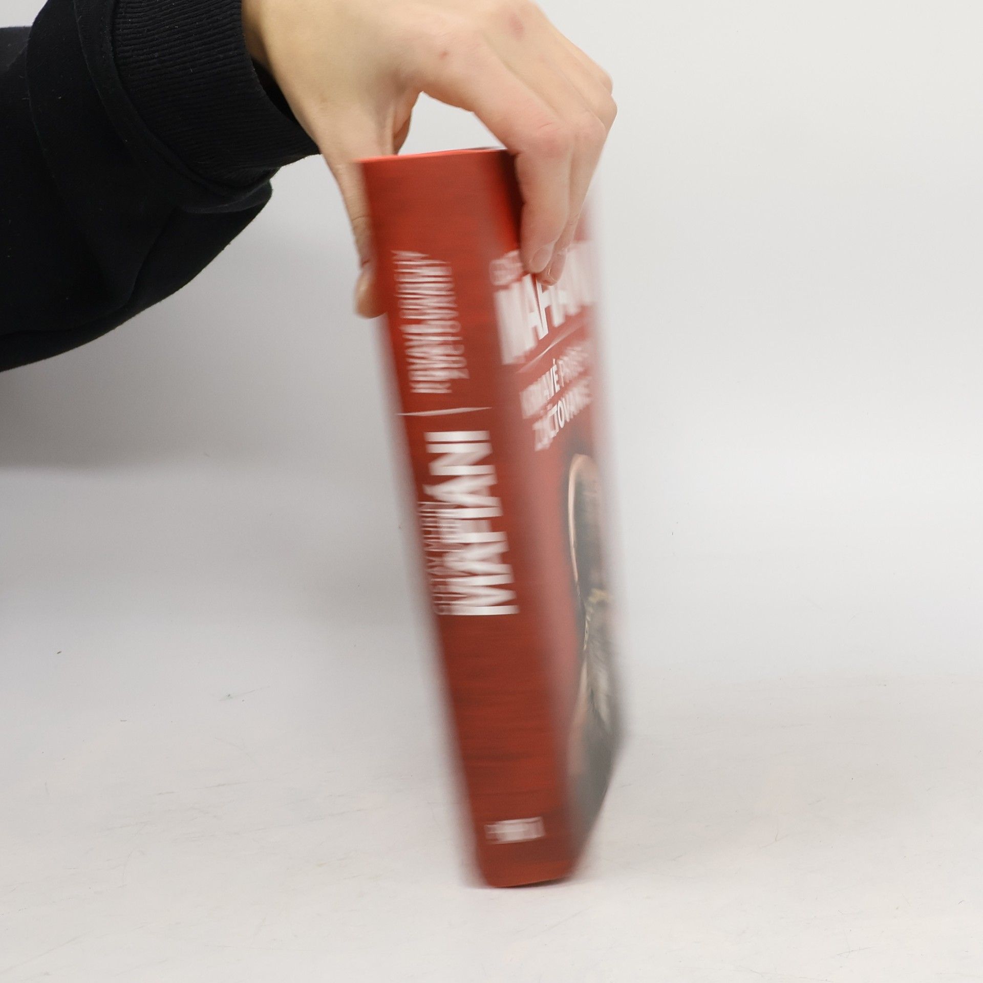 Gustáv Murín Mafiáni. Krvavé príbehy – zúčtovanie?