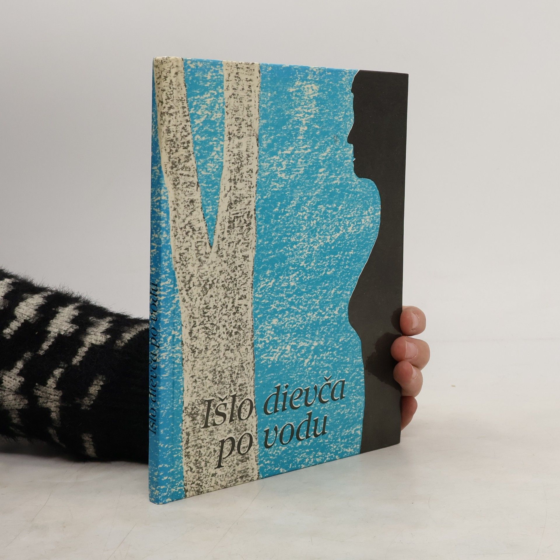 Mária Ďuríčková Išlo dievča po vodu