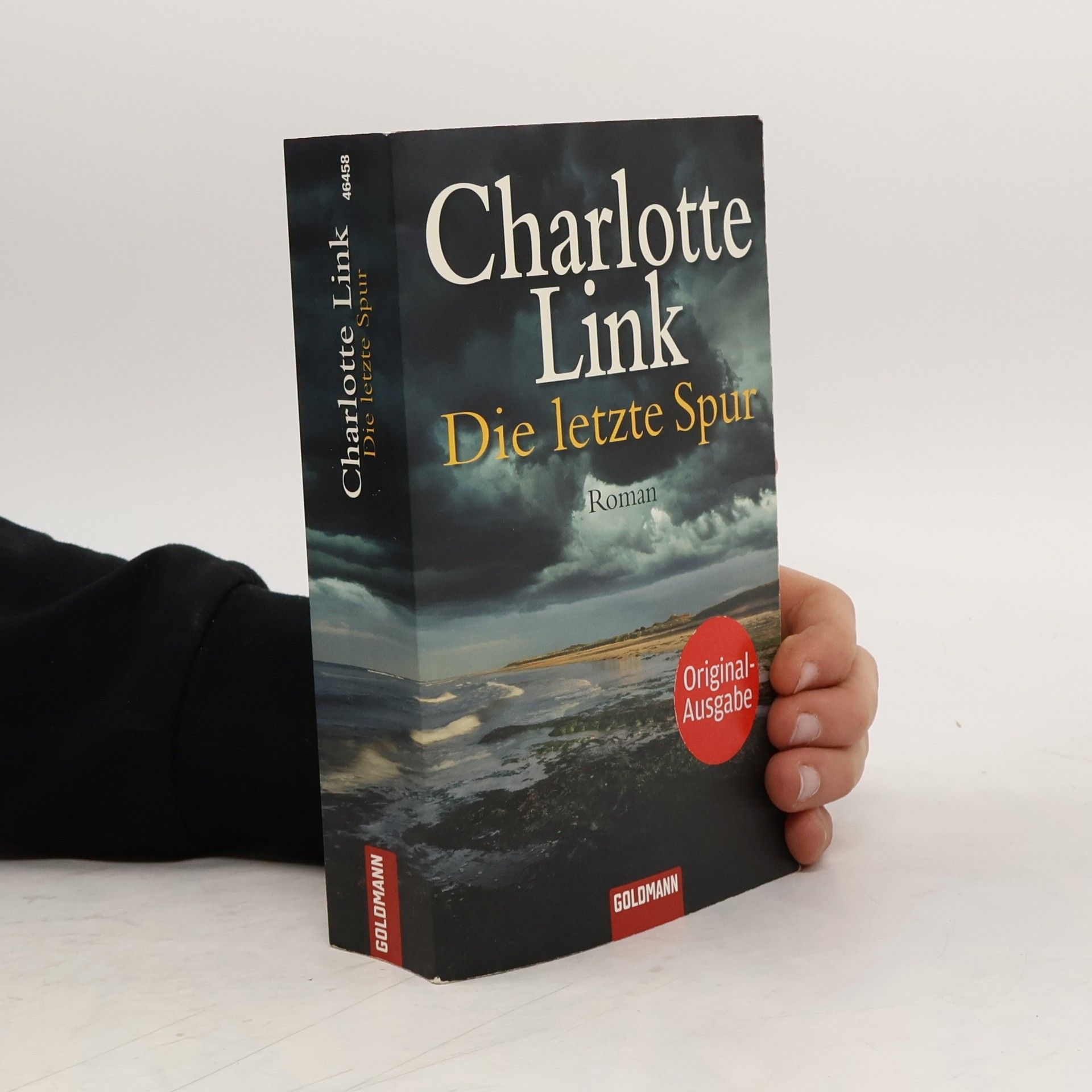 Charlotte Link Die letzte Spur