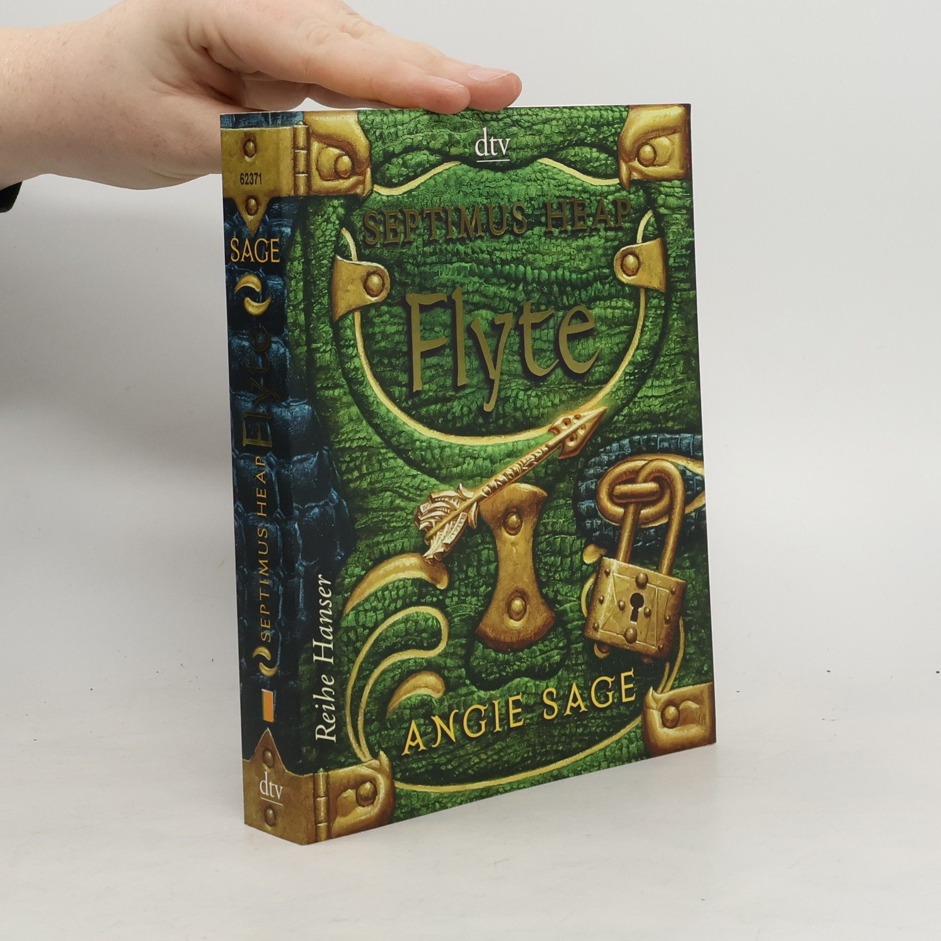 Angie Sage Septimus Heap: Flyte