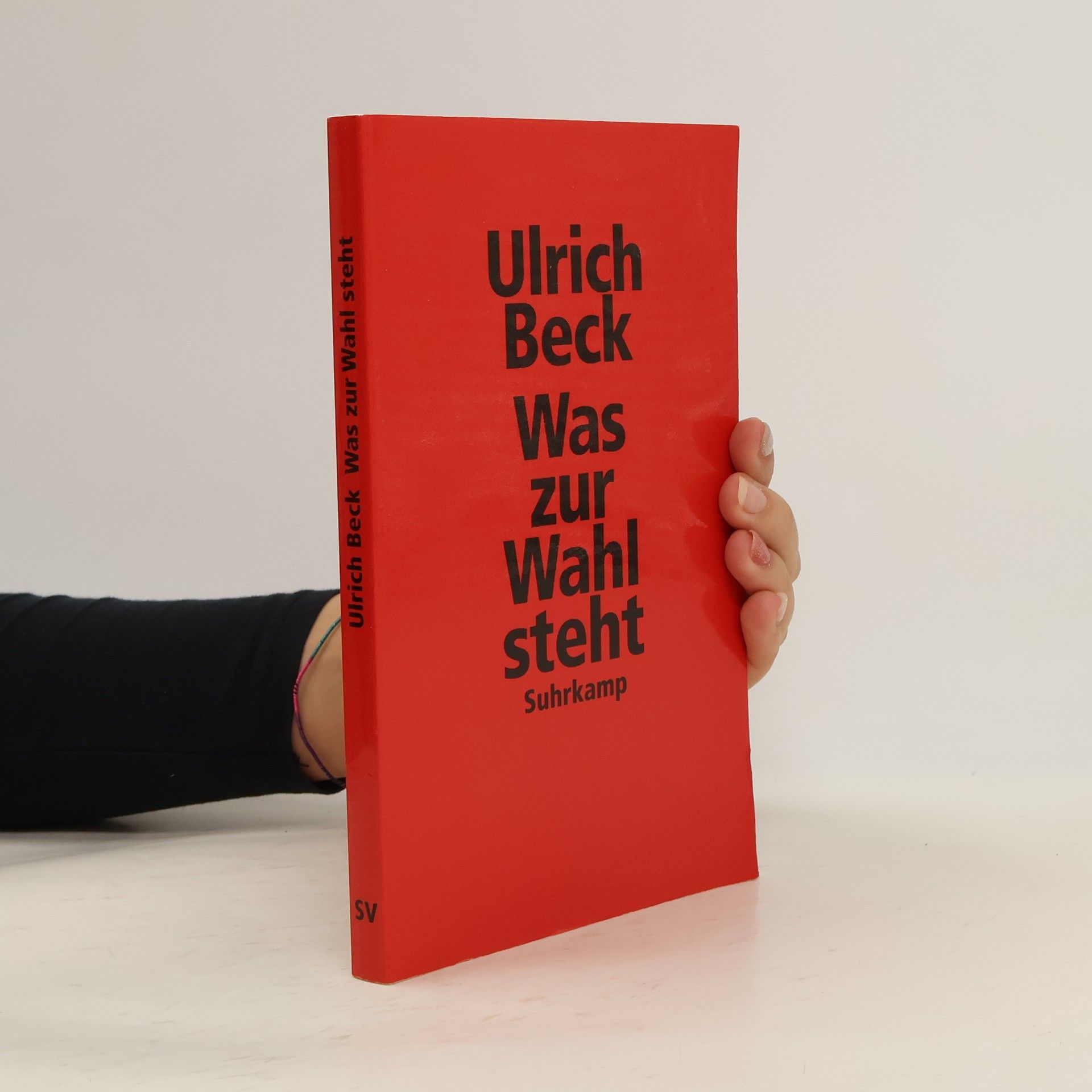 Ulrich Beck Was zur Wahl steht