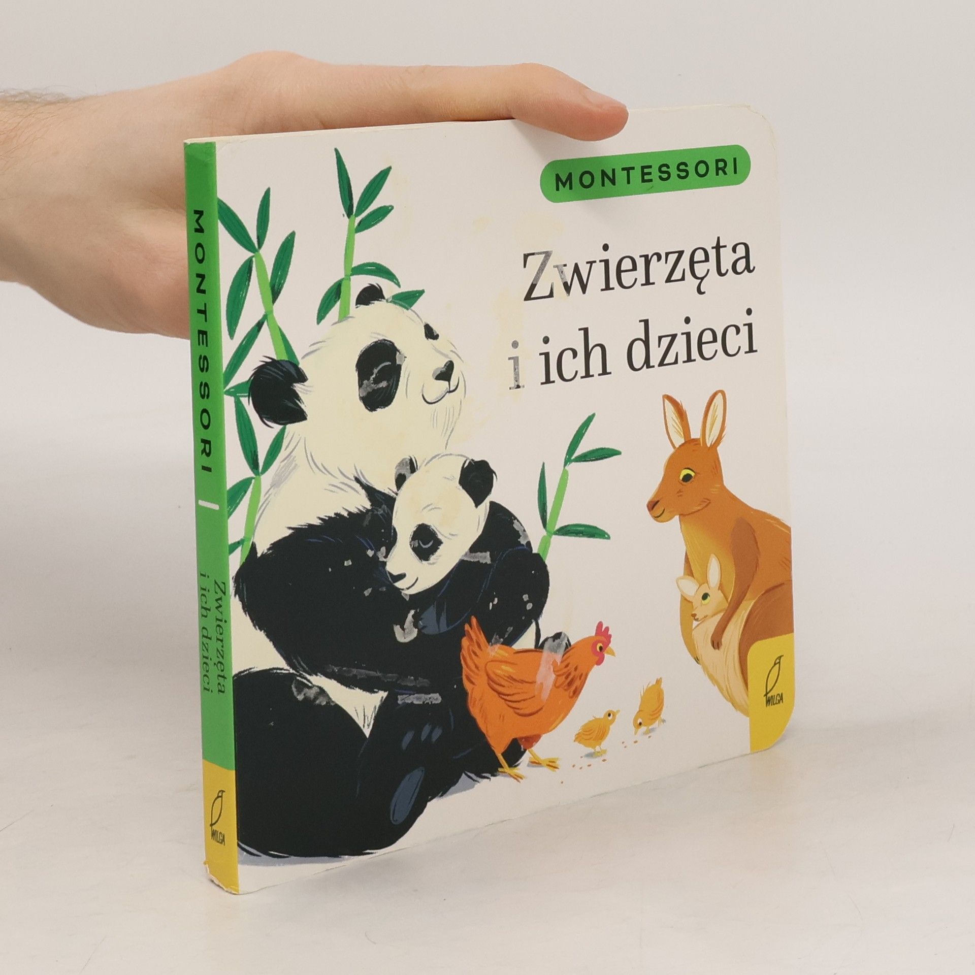 Sebastian Leitner Montessori Zwierzęta i ich dzieci
