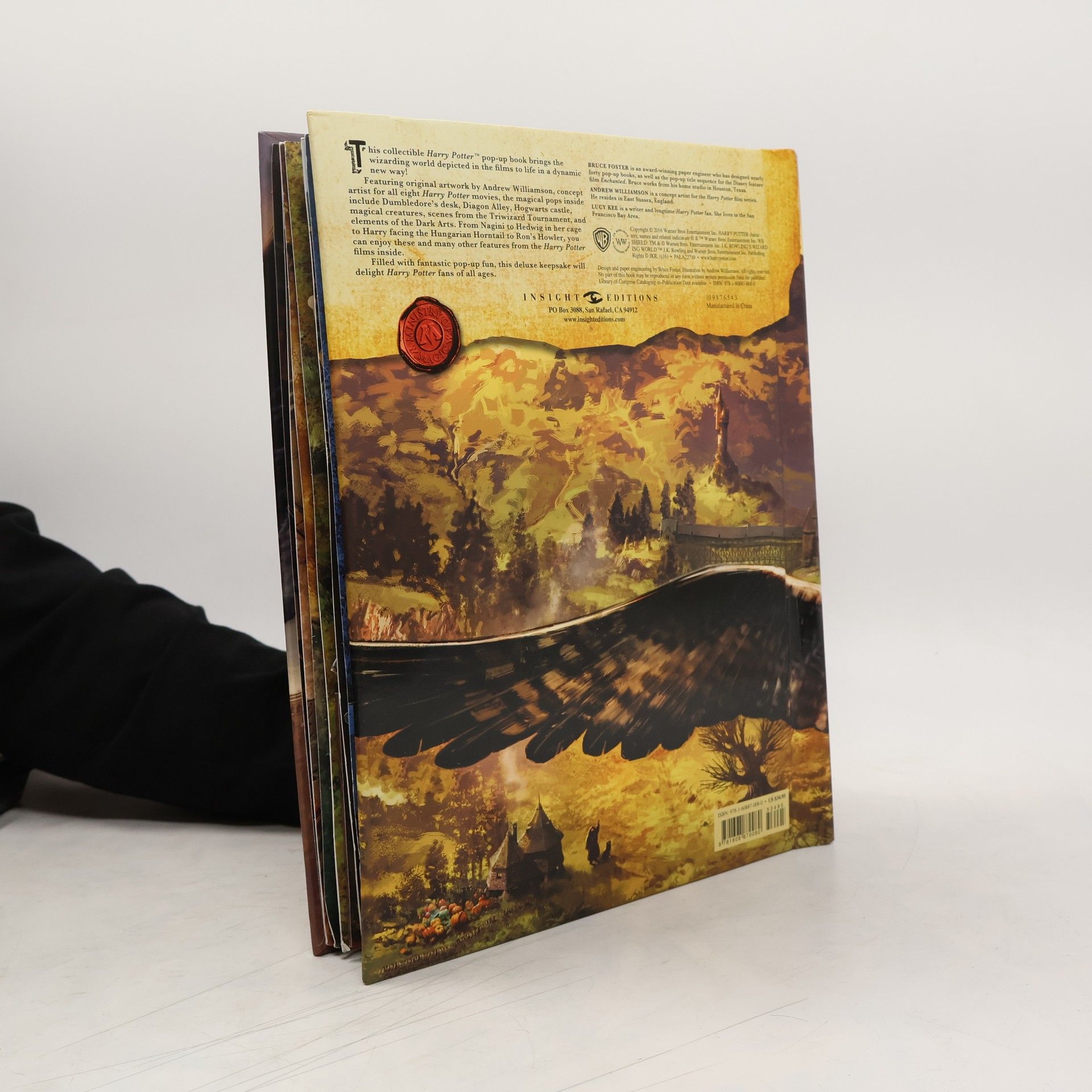 Bruce Foster Harry Potter. A pop-up book