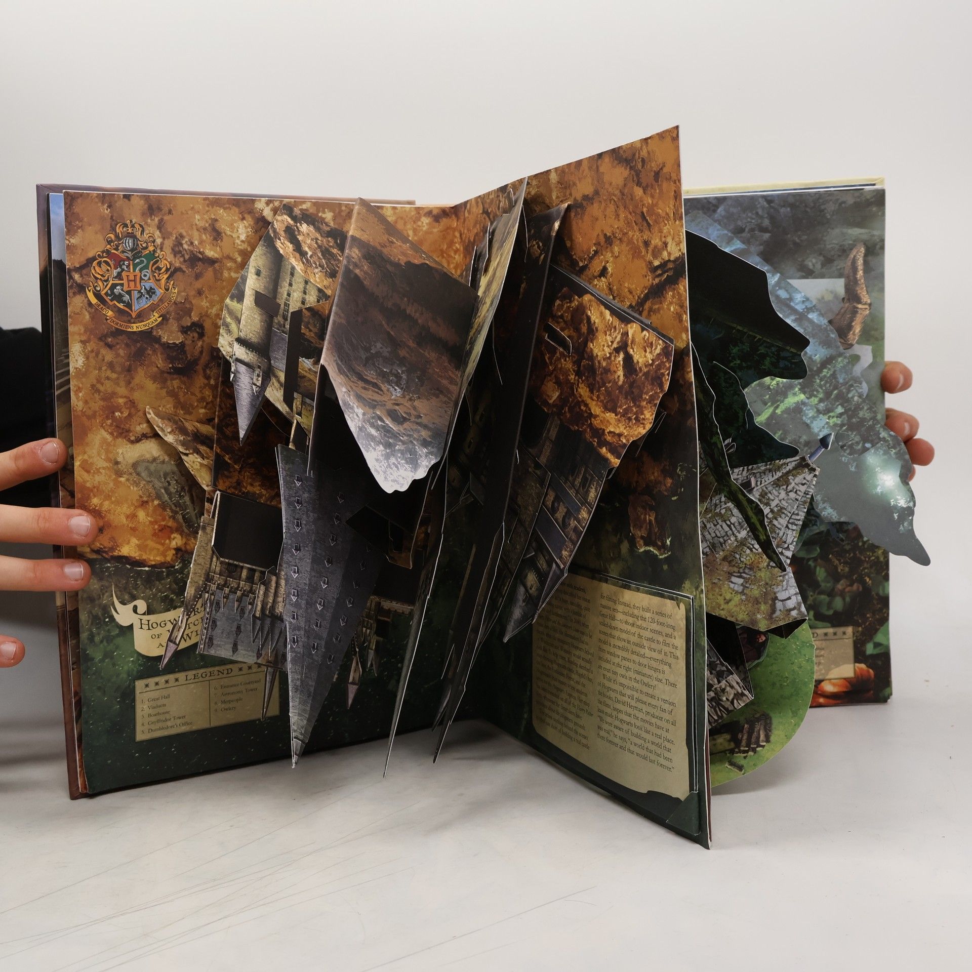 Bruce Foster Harry Potter. A pop-up book
