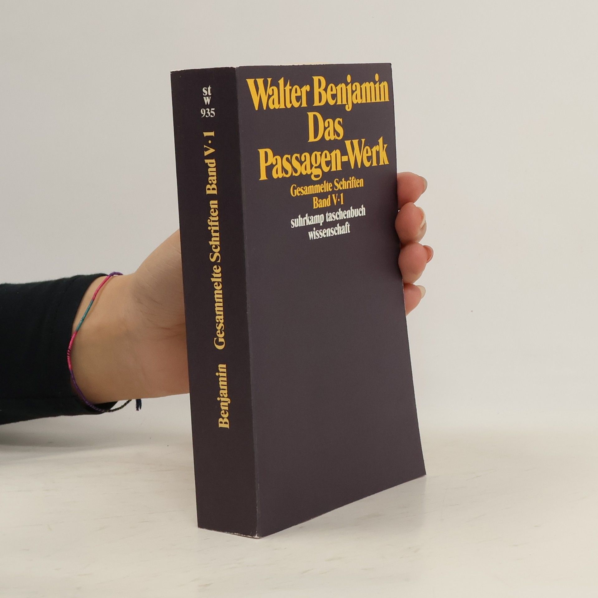 Walter Benjamin Das Passagenwerk. Gesammelte Schriften V/1