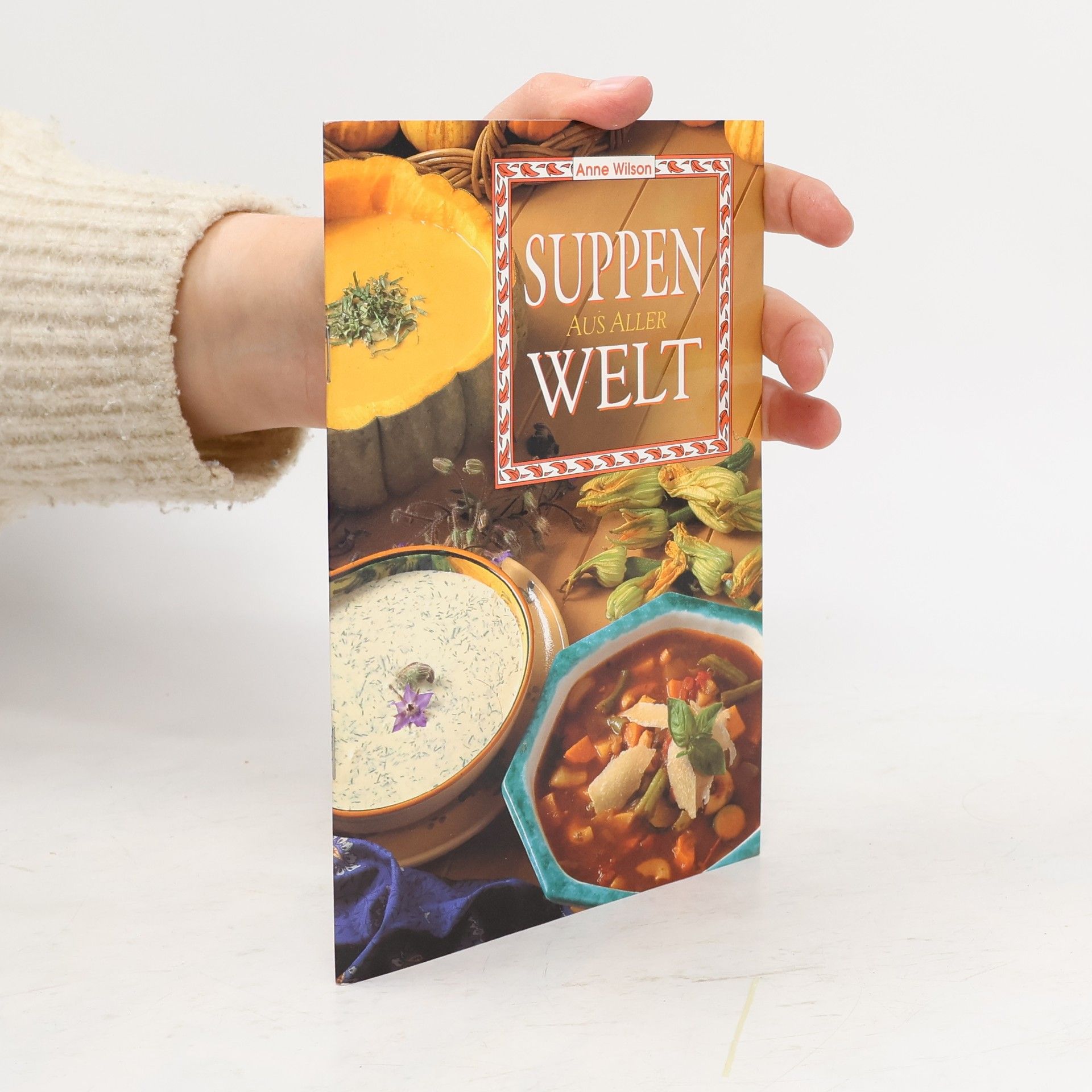 Anne Wilson Suppen aus aller Welt
