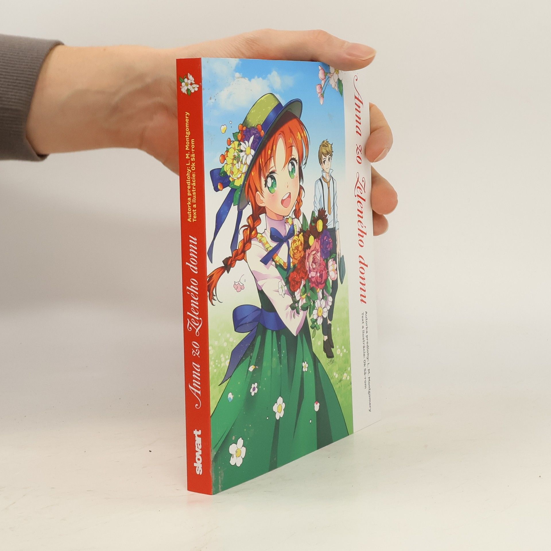 Collectif d'auteurs Anna zo zeleného domu