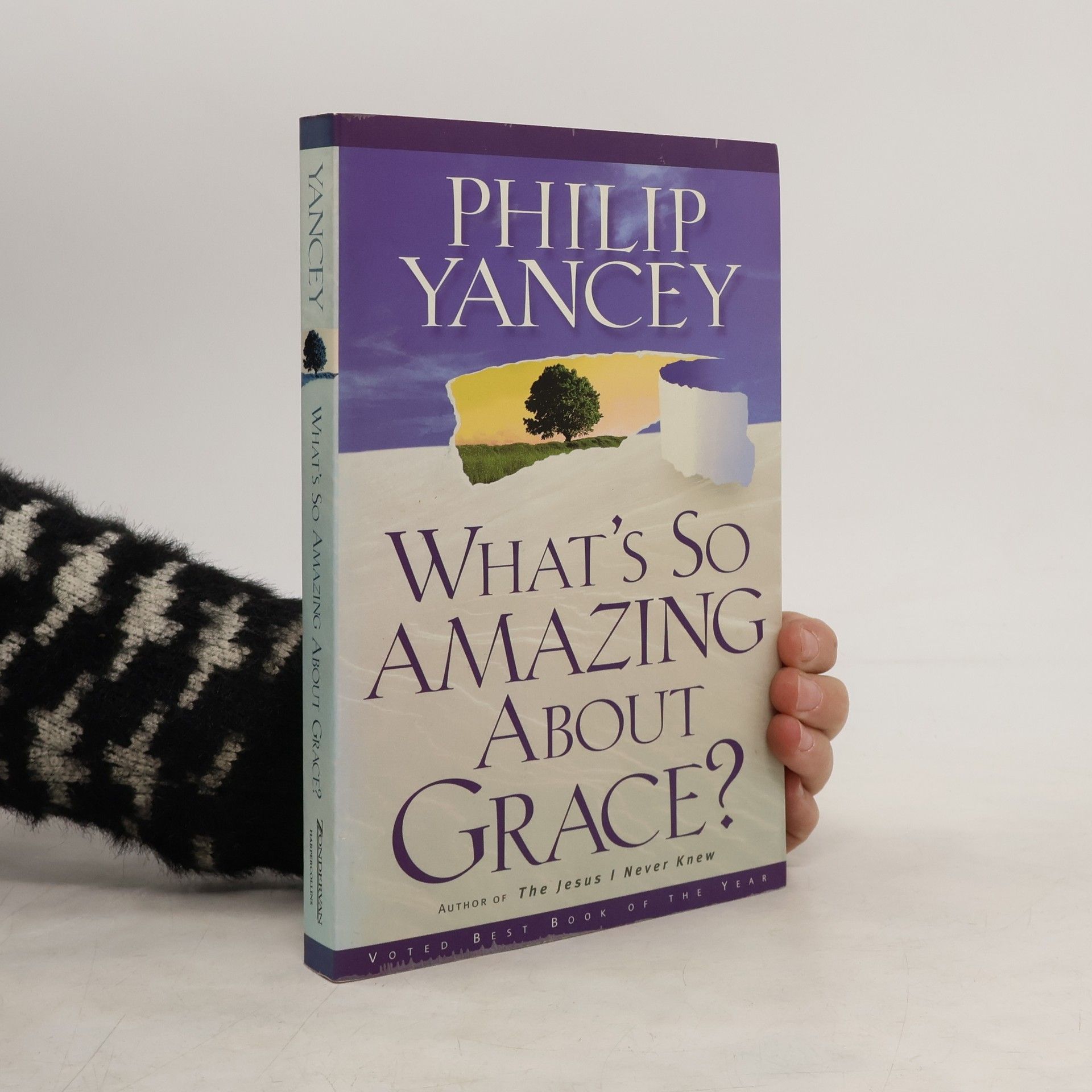 Yancey Philip What's So Amazing About Grace?