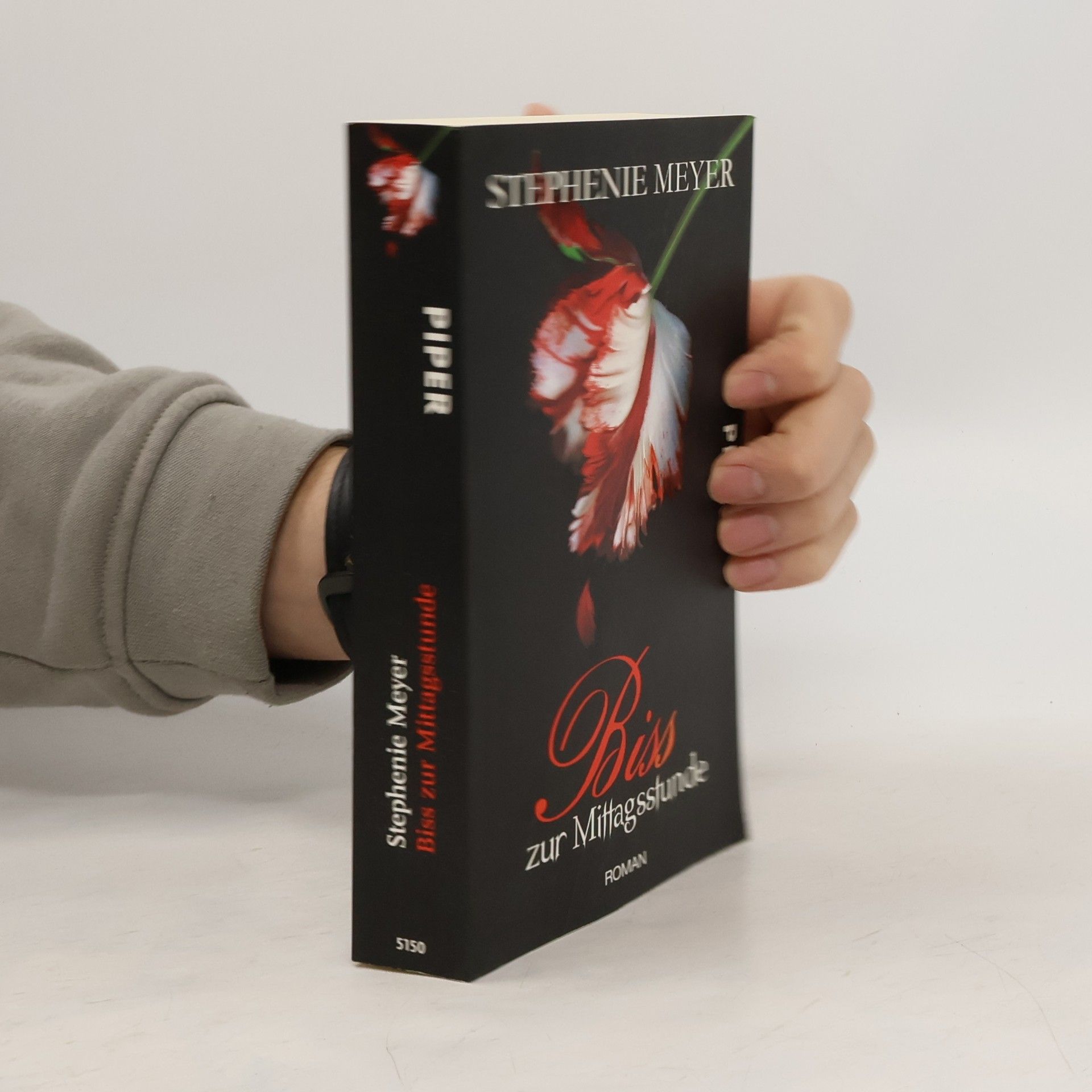 Stephenie Meyer Biss zur Mittagsstunde