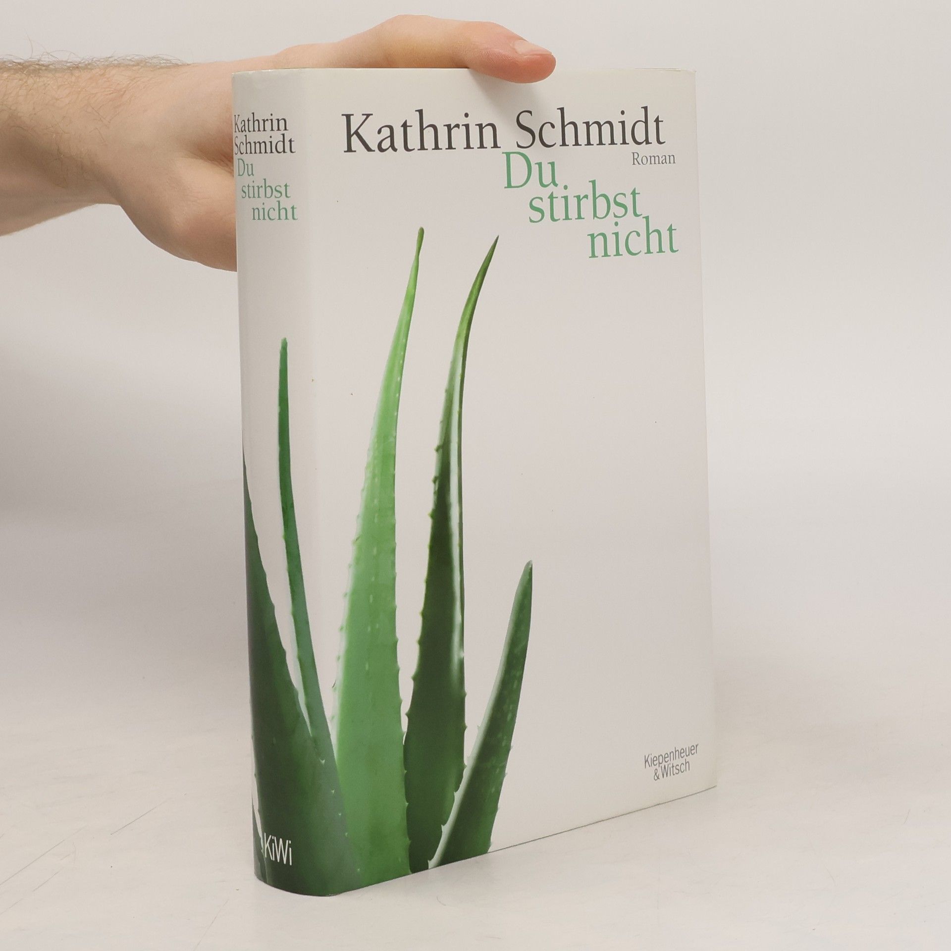 Kathrin Schmidt Du stirbst nicht