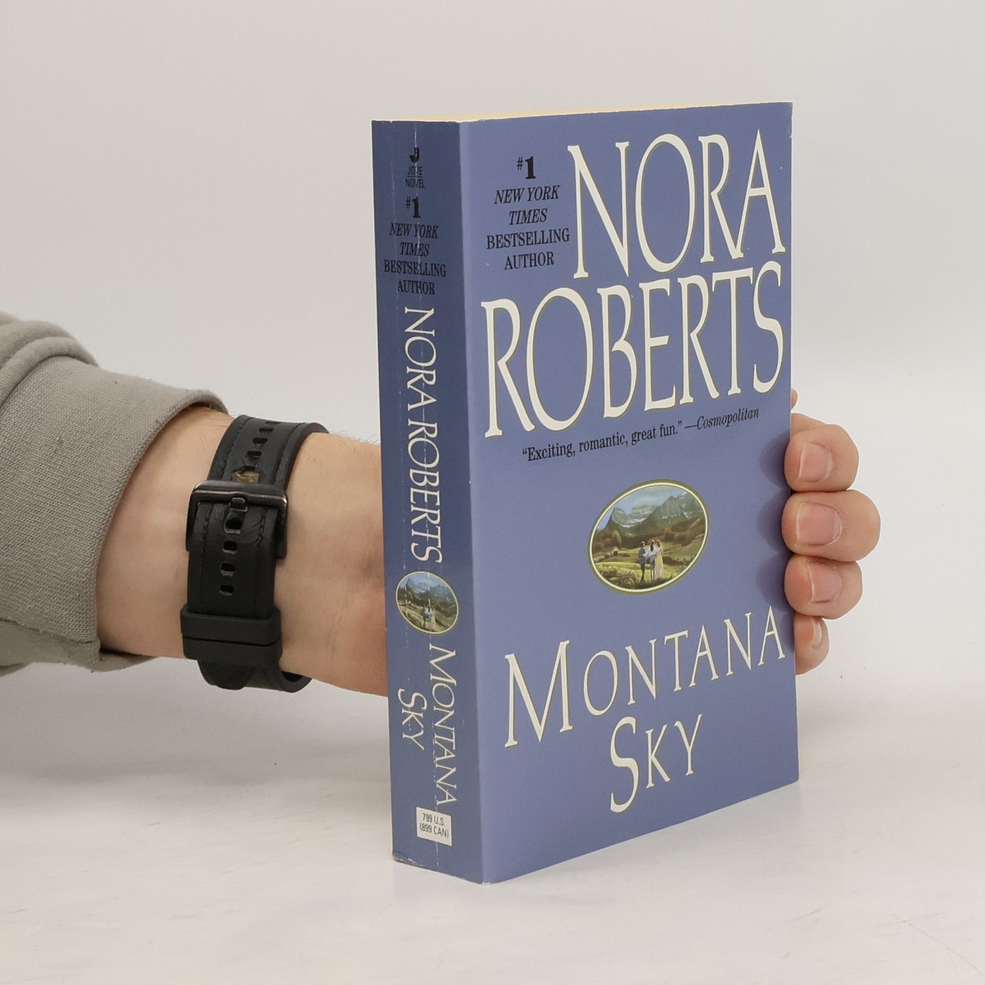 Nora Roberts Montana Sky