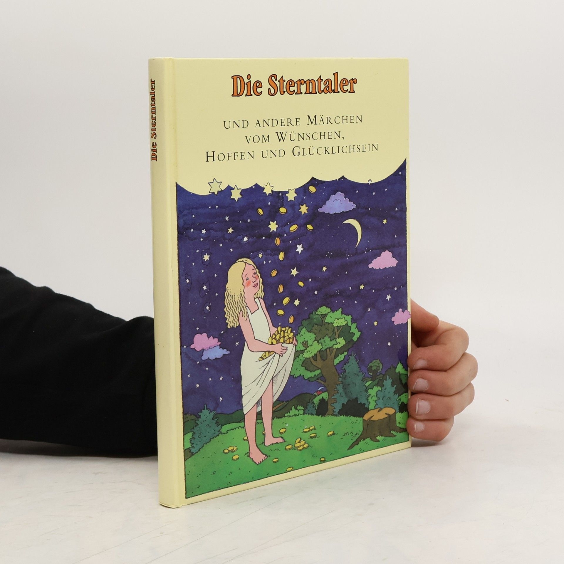 Hans Christian Andersen Die Sterntaler und andere Märchen von Wünschen, Hoffen und Glücklichsein