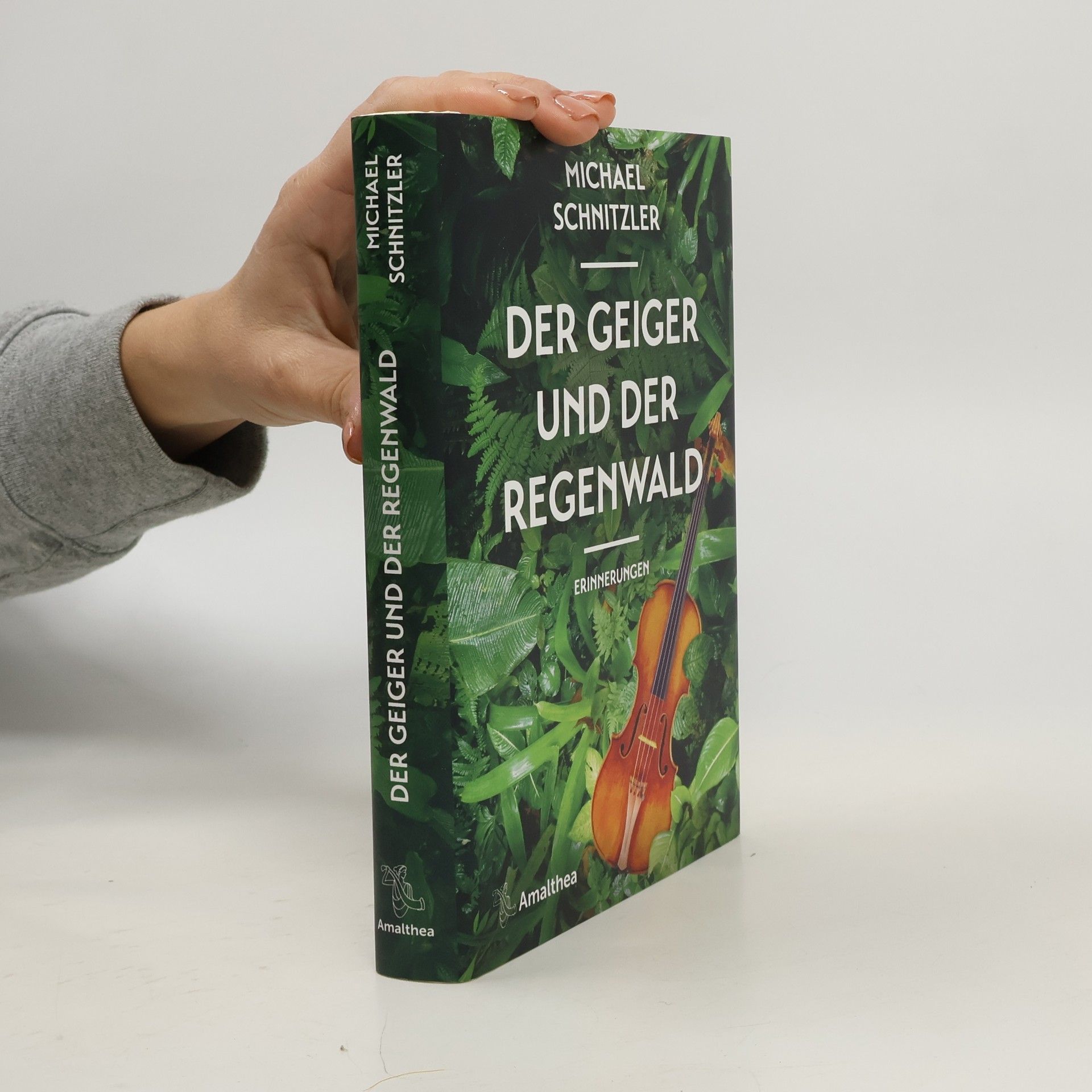 Der Geiger und der Regenwald