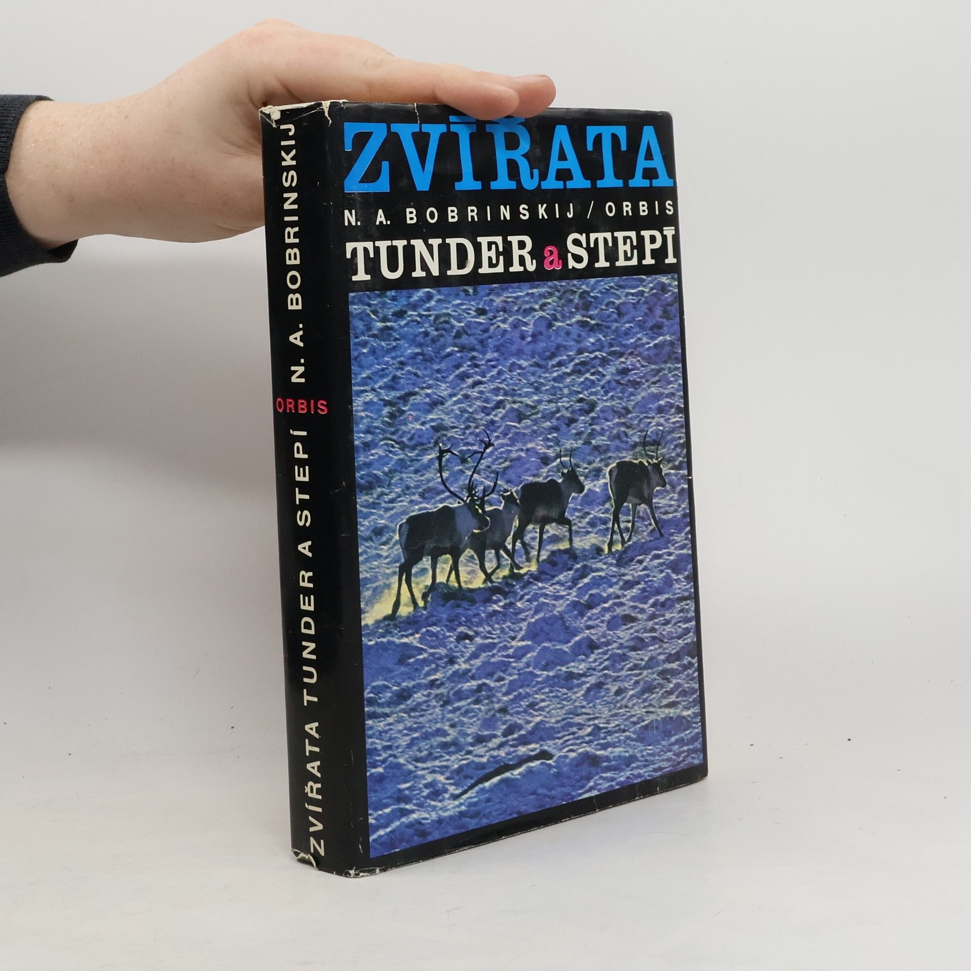 Zvířata tunder a stepí