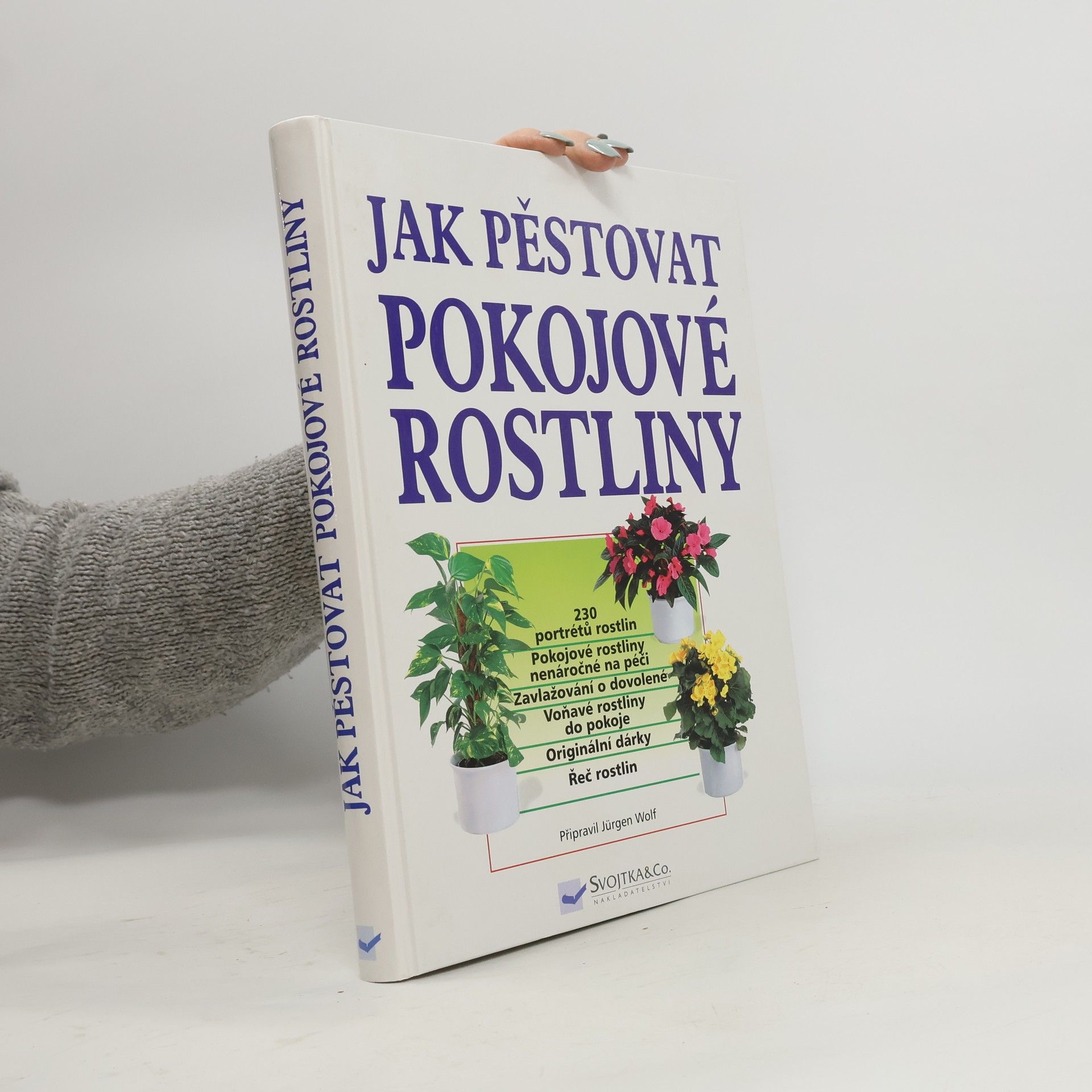 Jak pěstovat pokojové rostliny